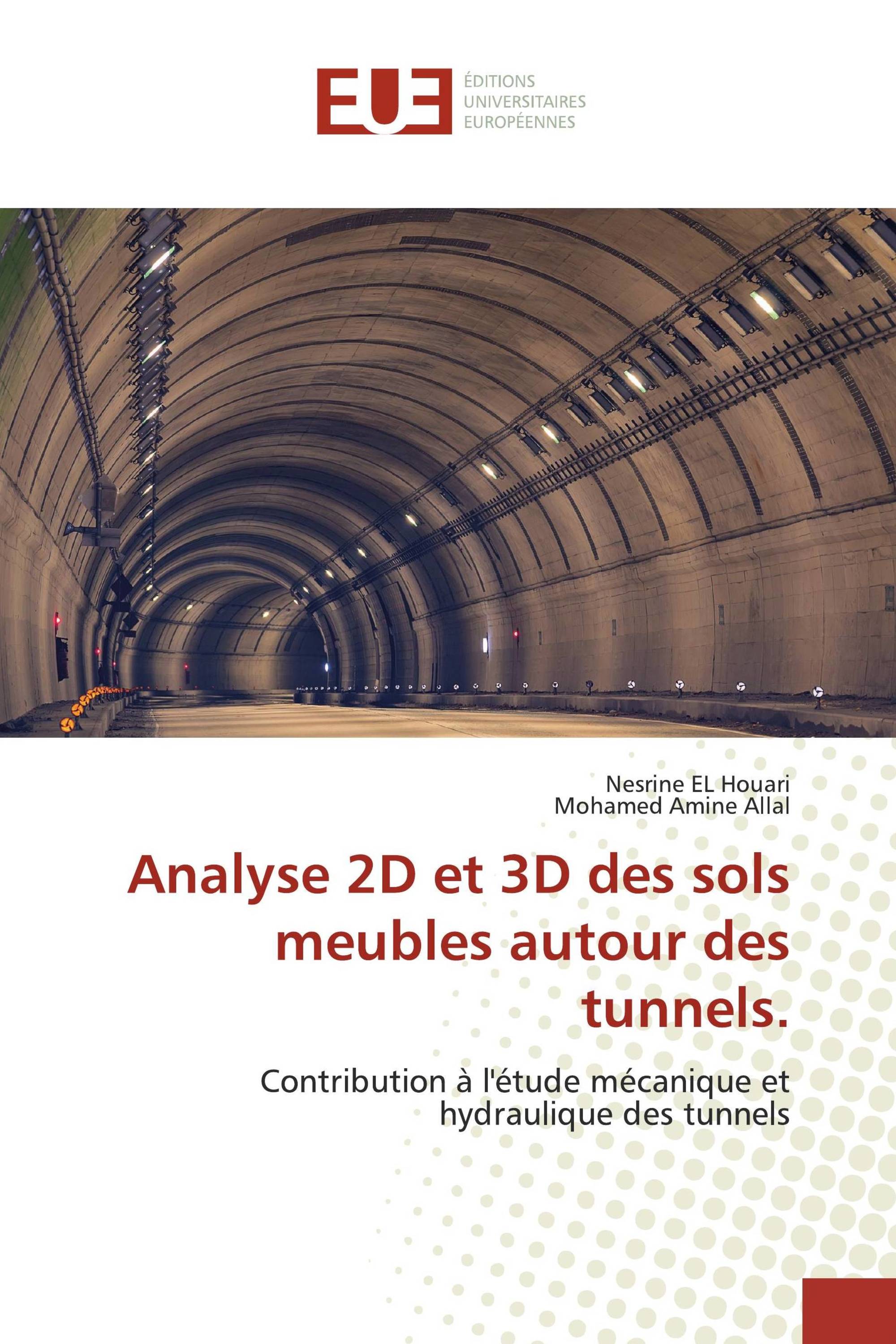 Analyse 2D et 3D des sols meubles autour des tunnels.