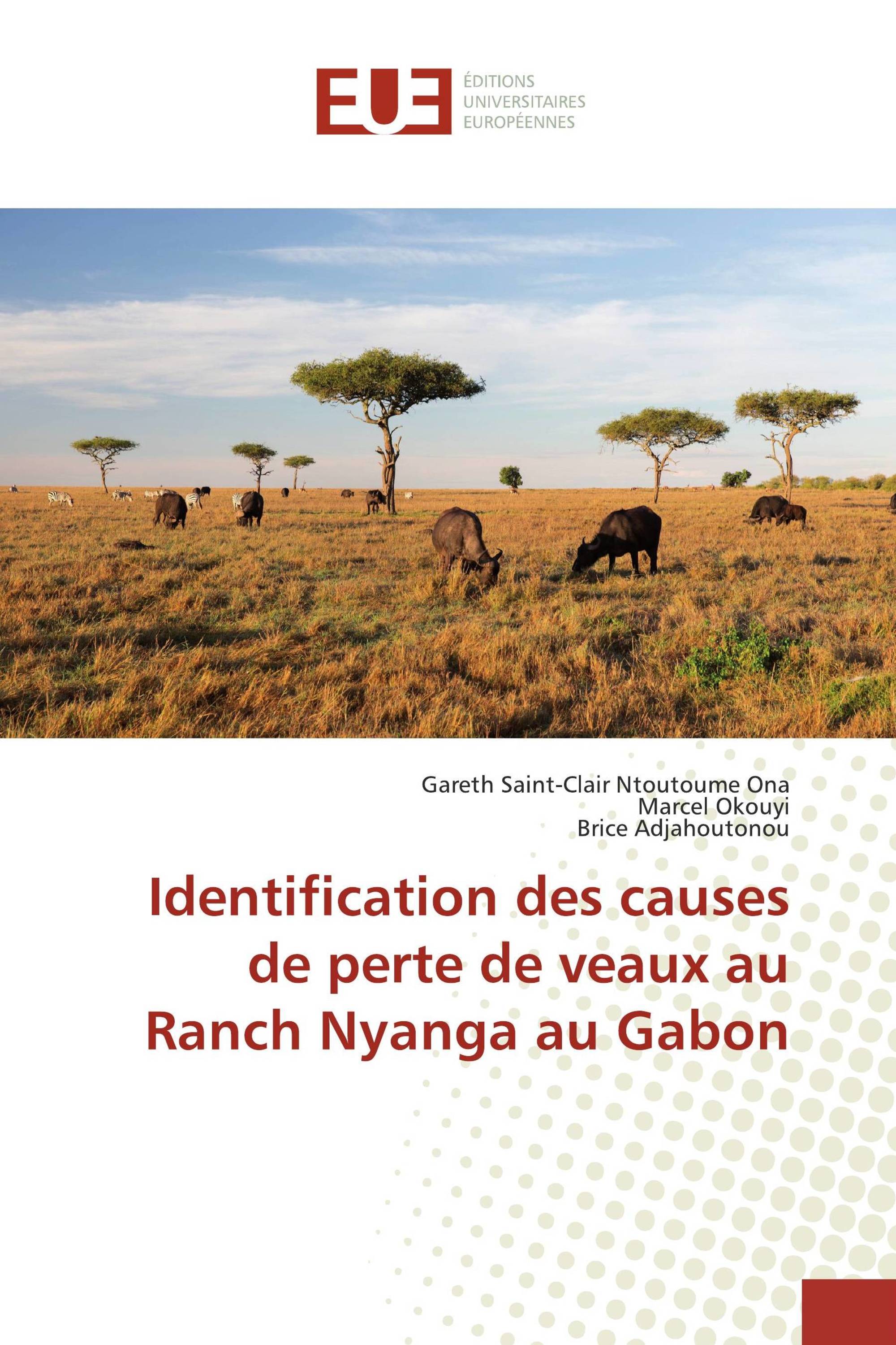 Identification des causes de perte de veaux au Ranch Nyanga au Gabon