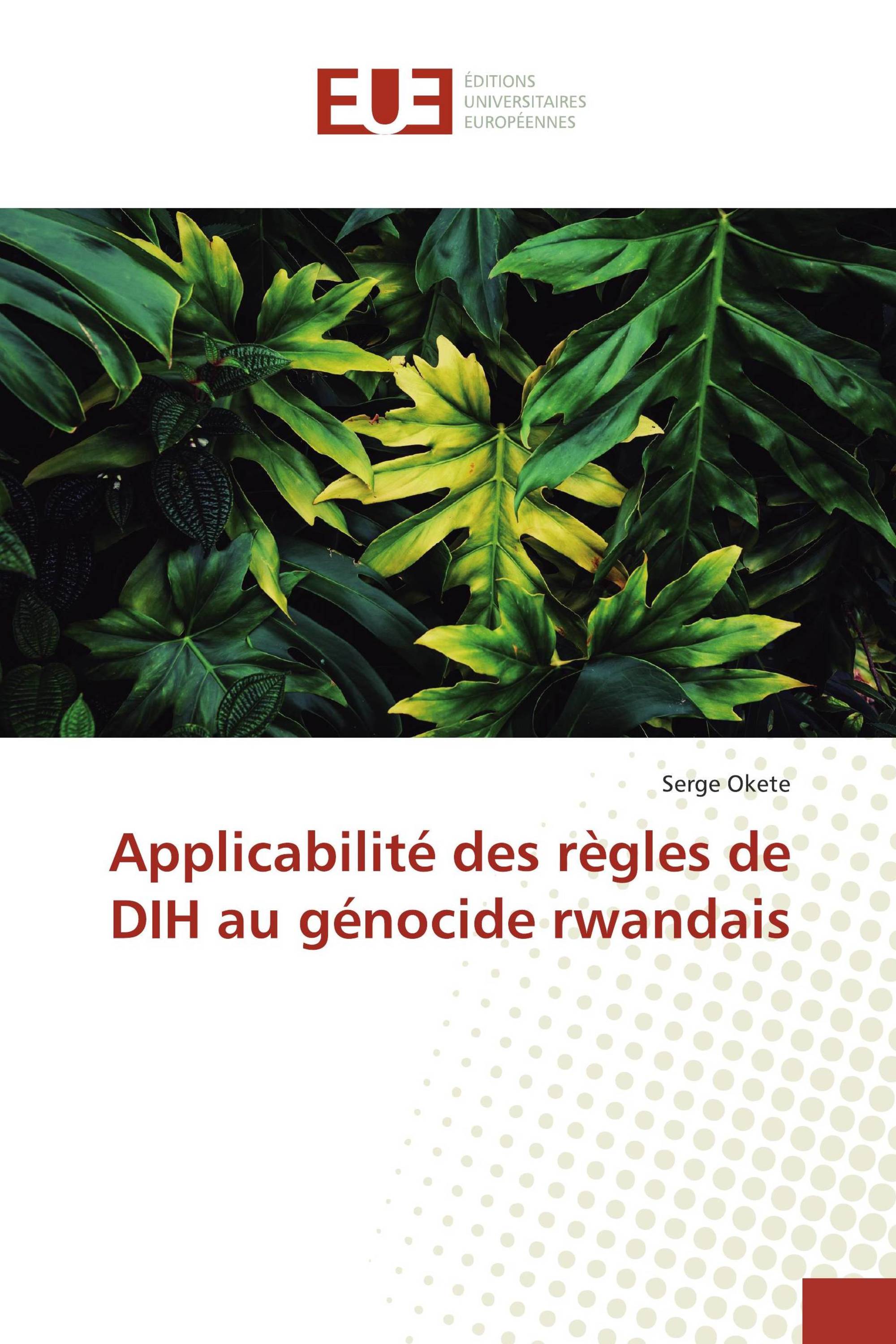 Applicabilité des règles de DIH au génocide rwandais