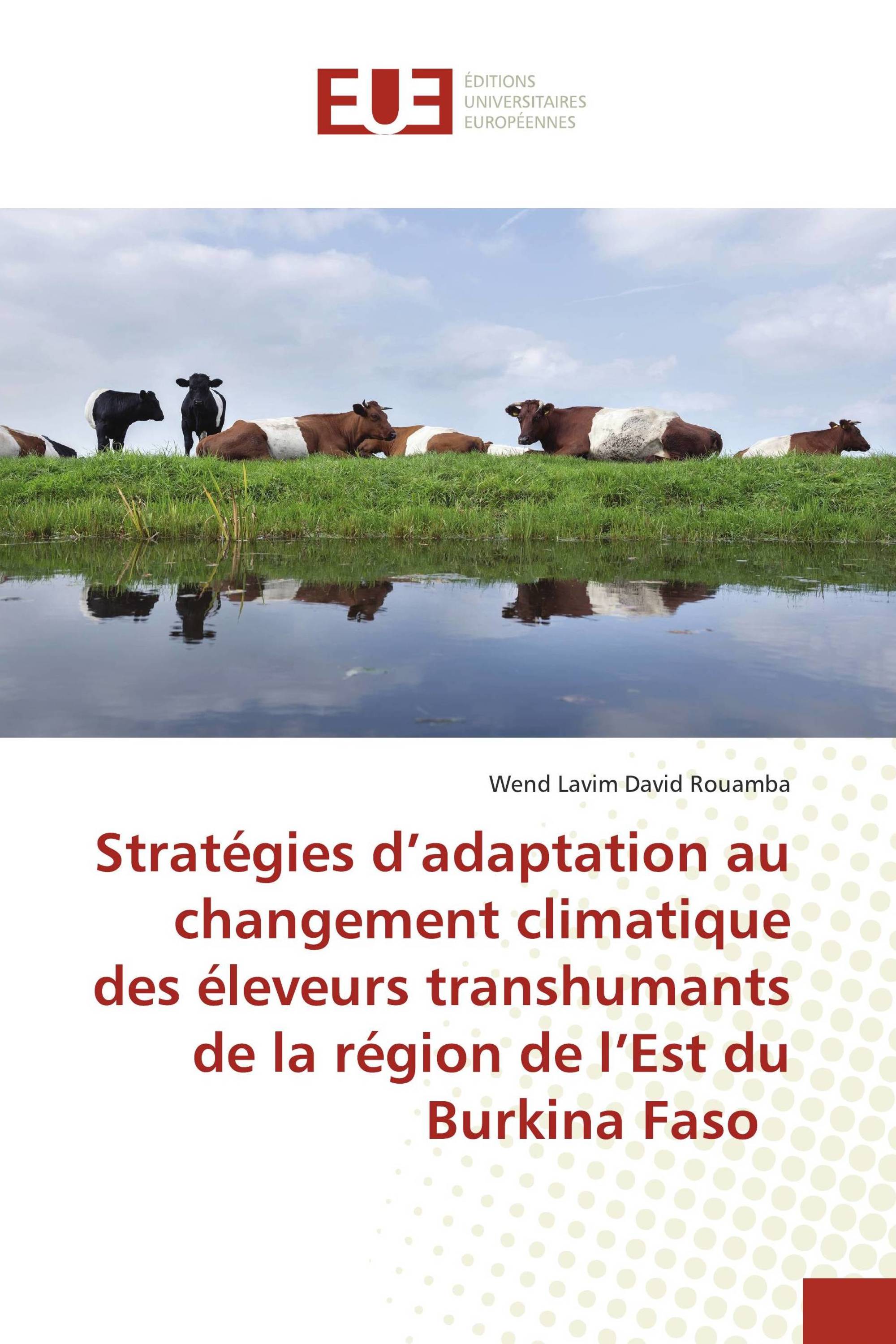 Stratégies d’adaptation au changement climatique des éleveurs transhumants de la région de l’Est du Burkina Faso