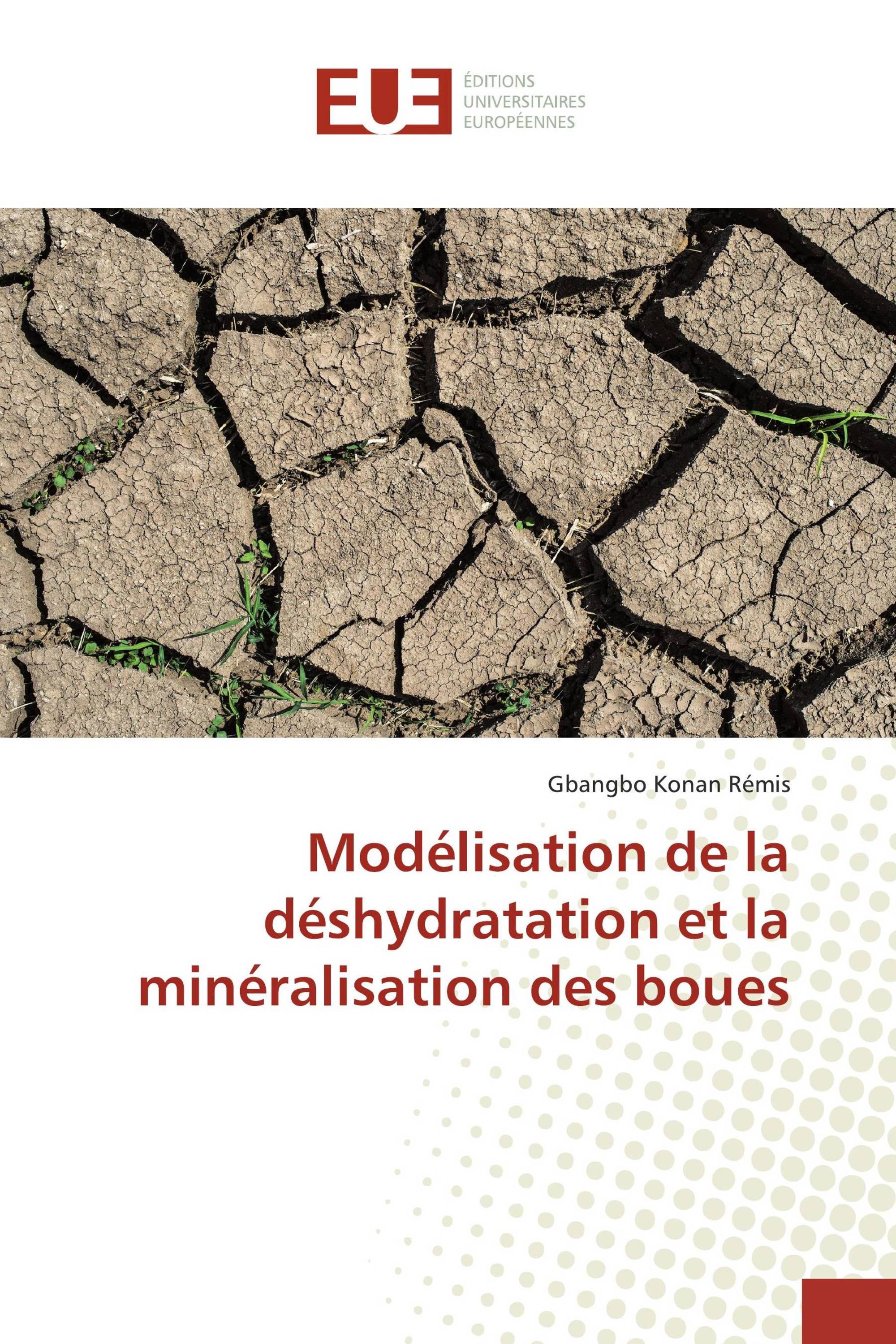 Modélisation de la déshydratation et la minéralisation des boues