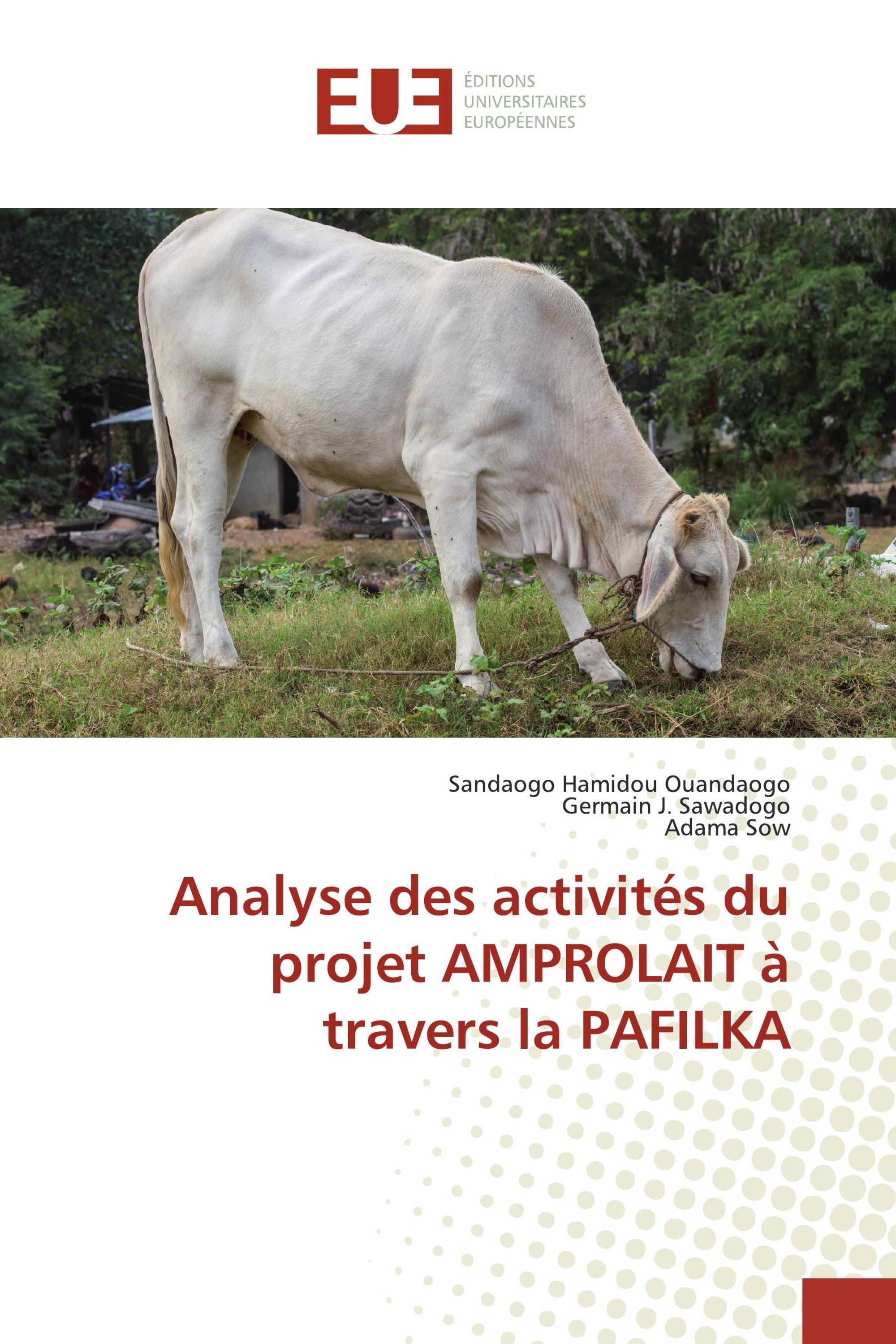 Analyse des activités du projet AMPROLAIT à travers la PAFILKA