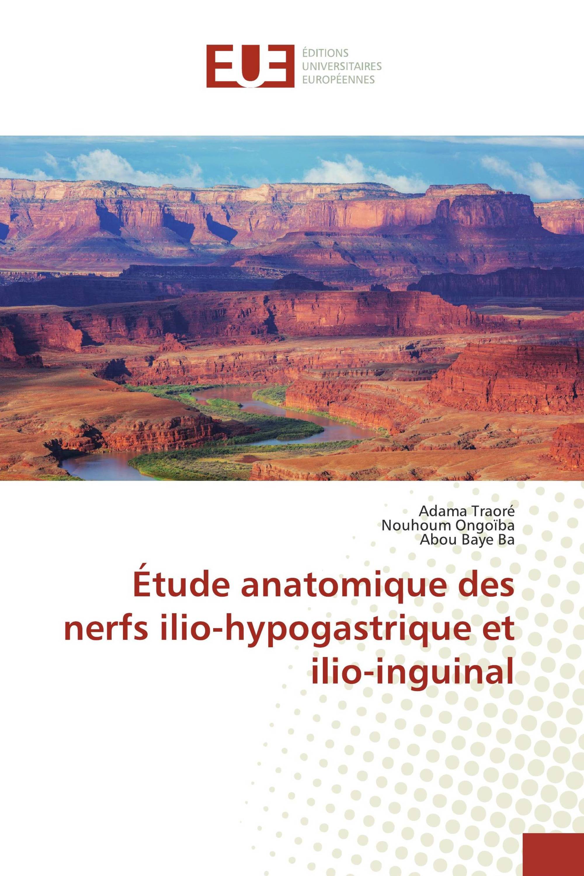 Étude anatomique des nerfs ilio-hypogastrique et ilio-inguinal