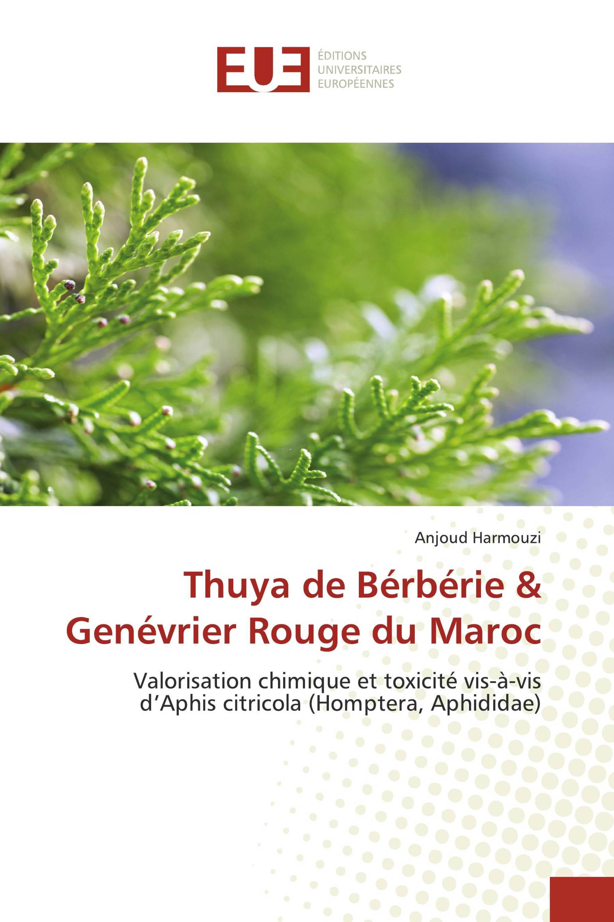 Thuya de Bérbérie & Genévrier Rouge du Maroc