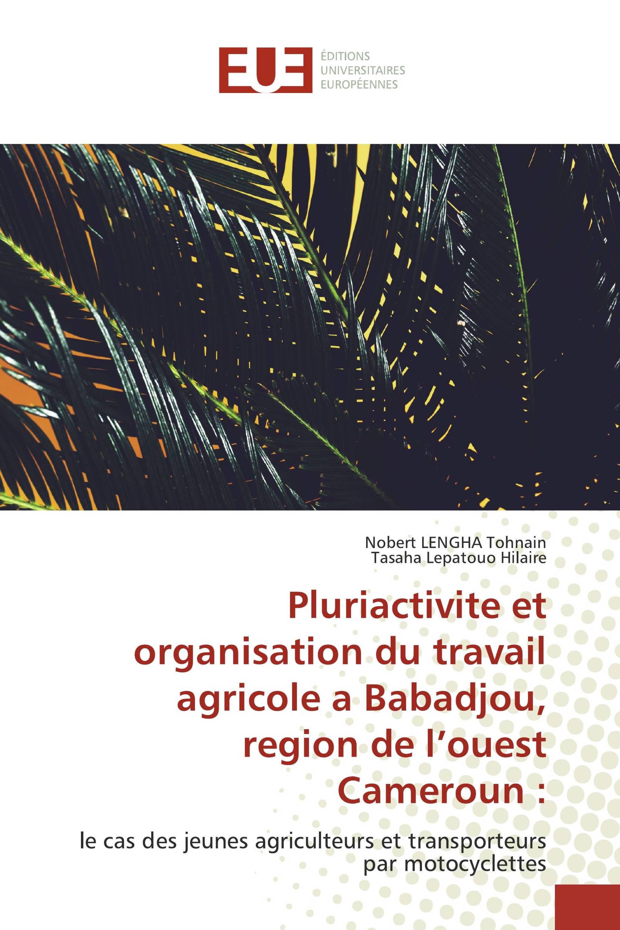 Pluriactivite et organisation du travail agricole a Babadjou, region de l’ouest Cameroun :