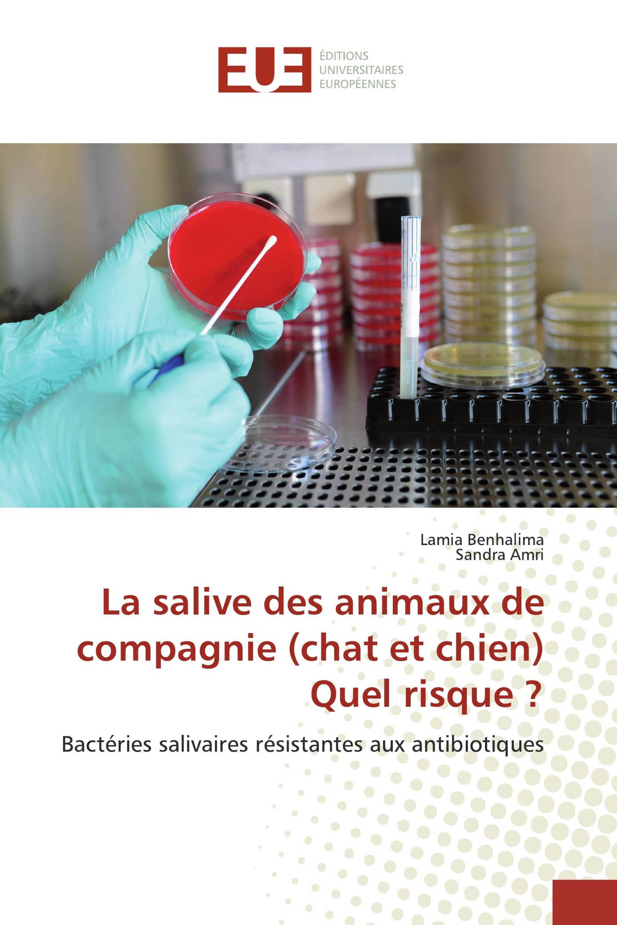 La salive des animaux de compagnie (chat et chien) Quel risque ?