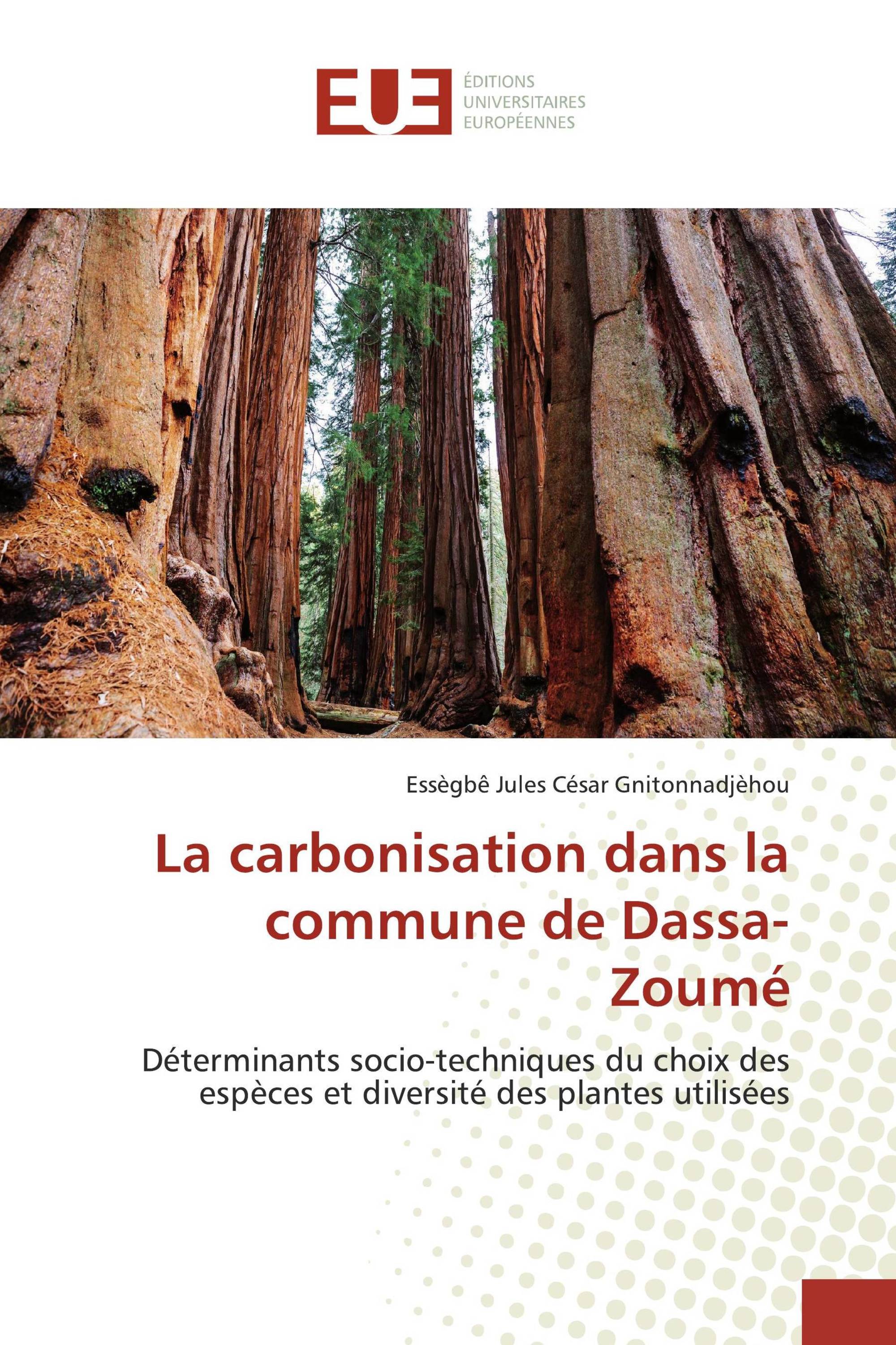 La carbonisation dans la commune de Dassa-Zoumé