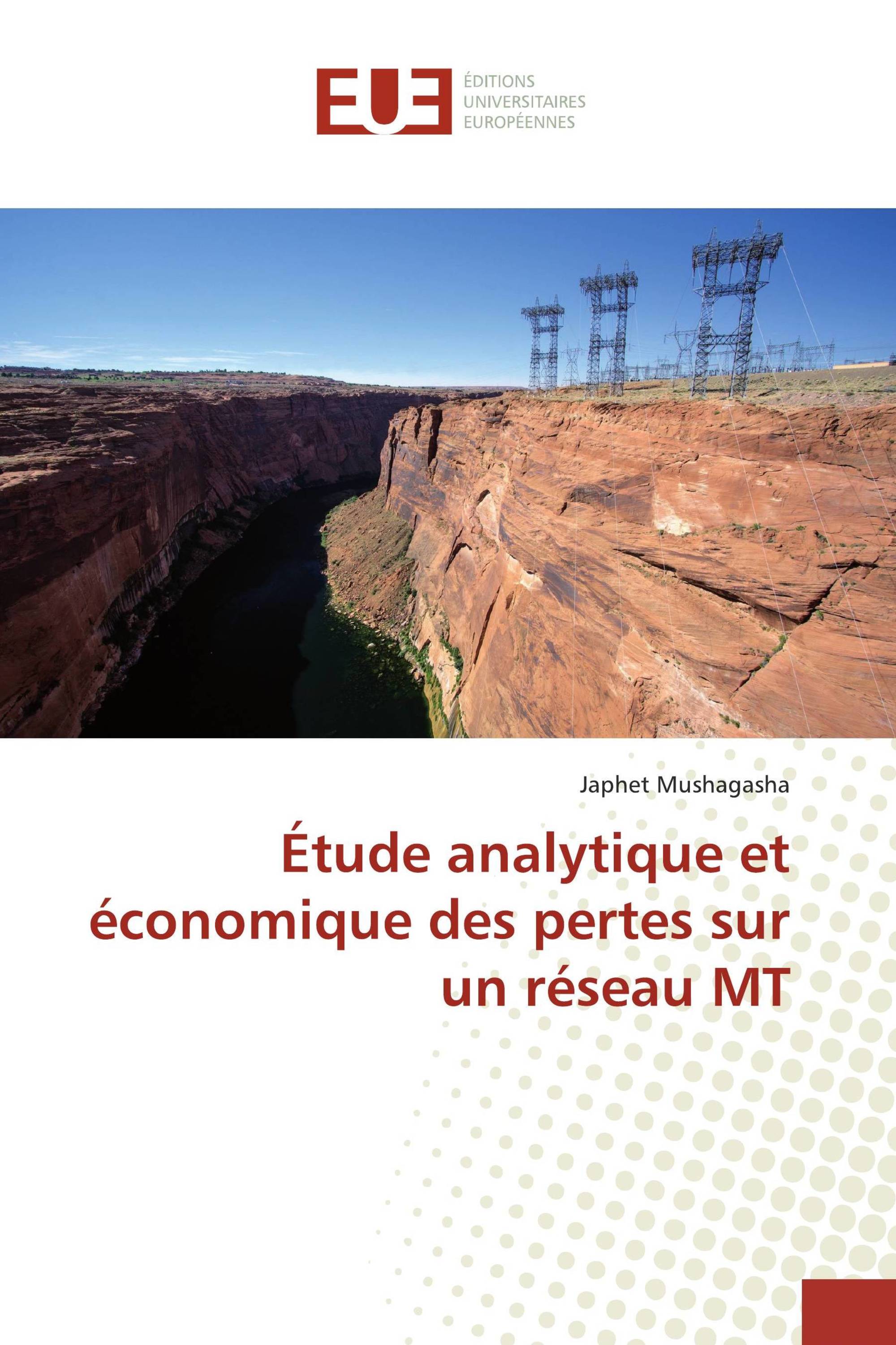 Étude analytique et économique des pertes sur un réseau MT