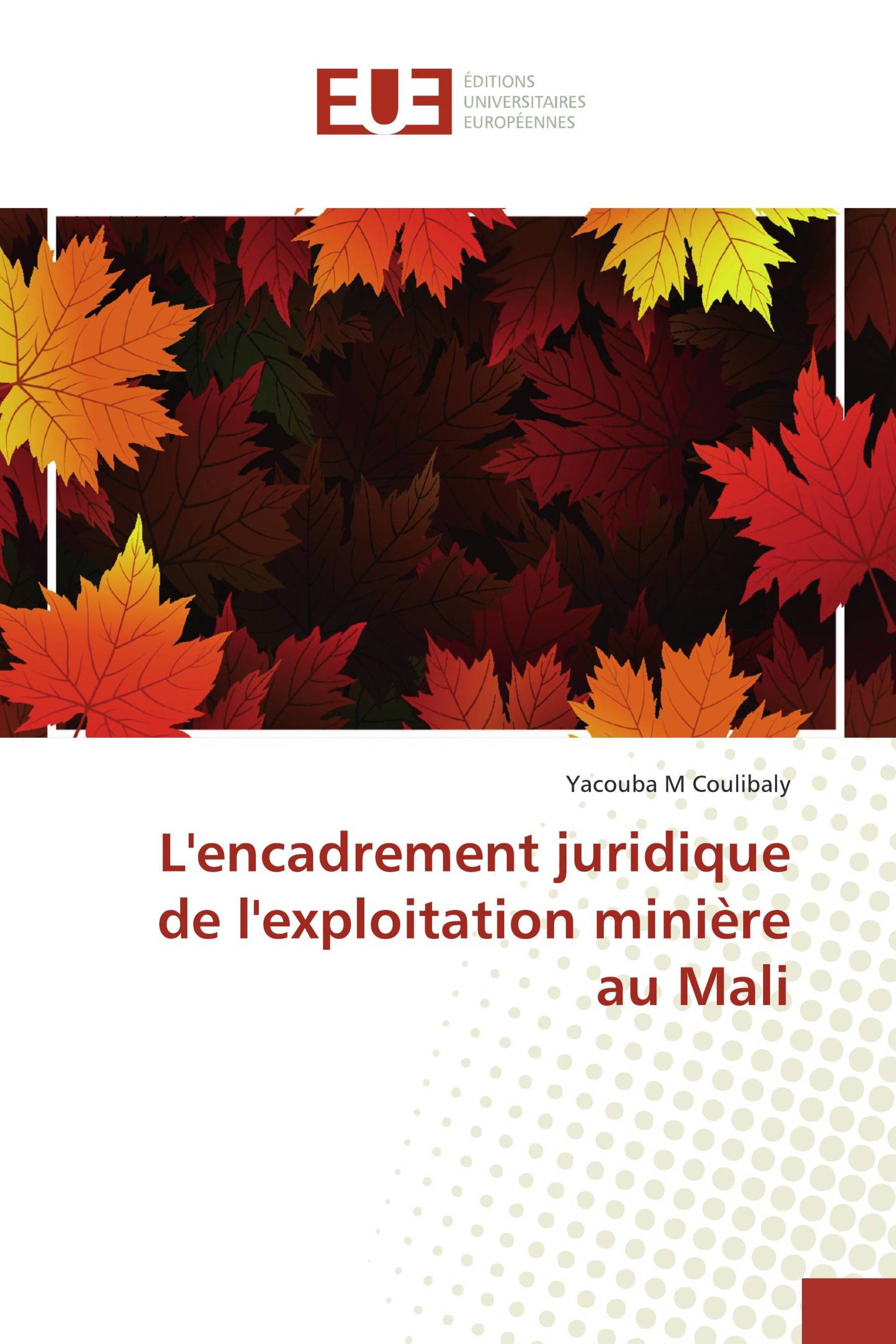 L'encadrement juridique de l'exploitation minière au Mali