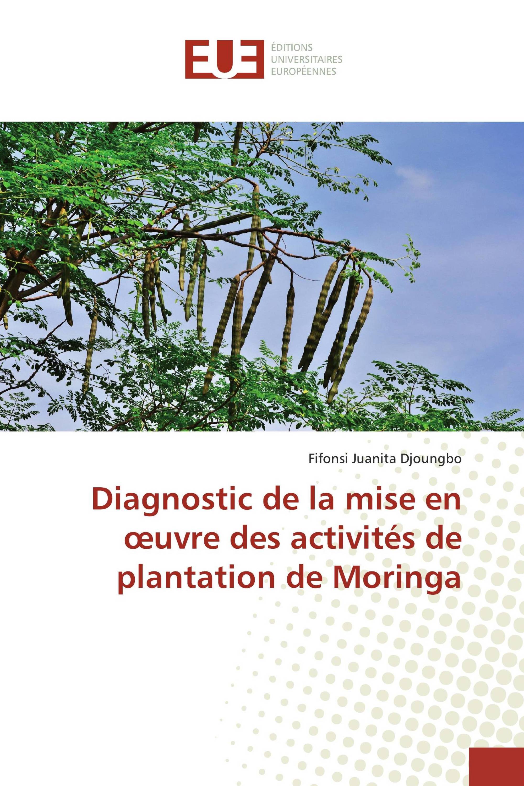 Diagnostic de la mise en œuvre des activités de plantation de Moringa