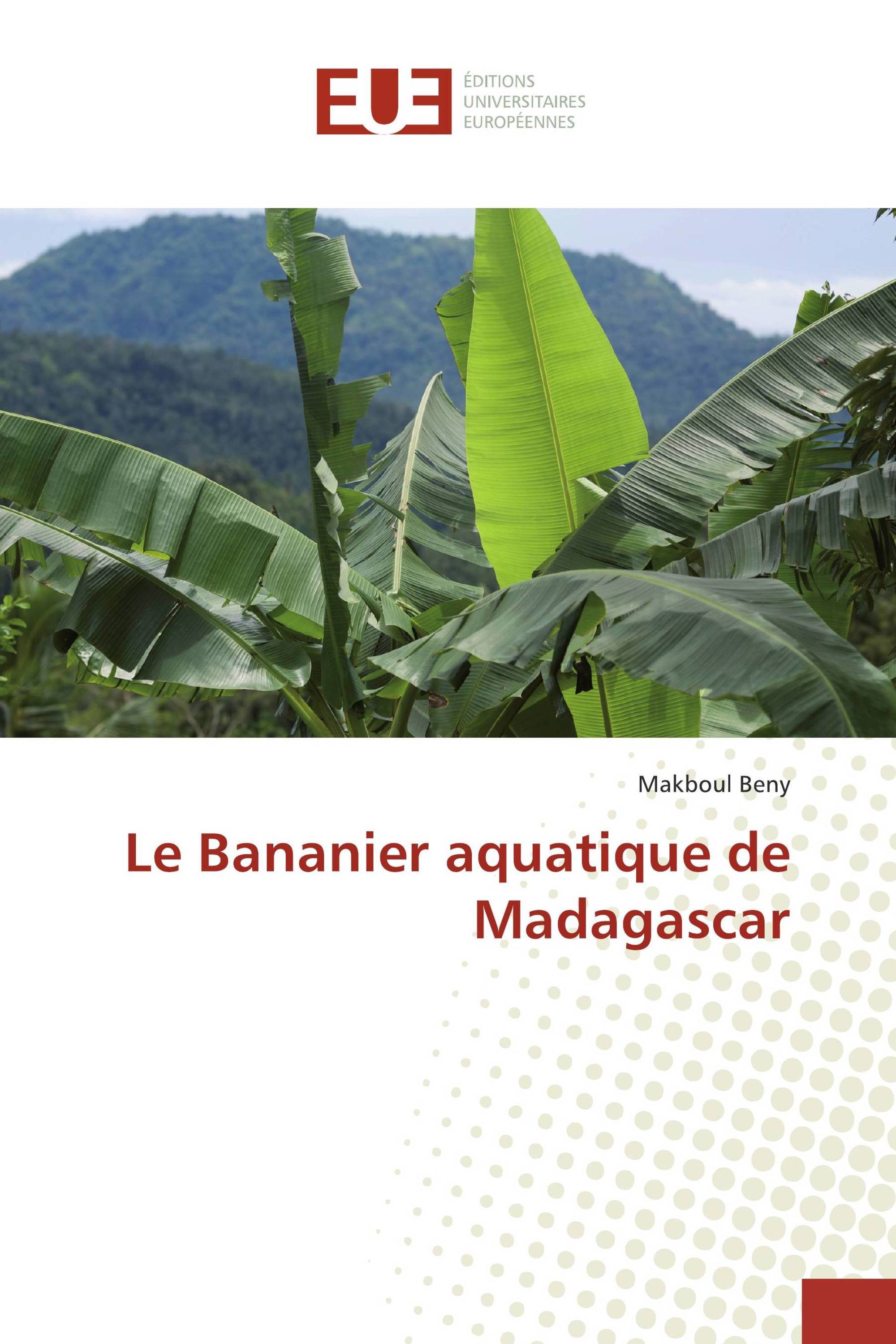 Le Bananier aquatique de Madagascar