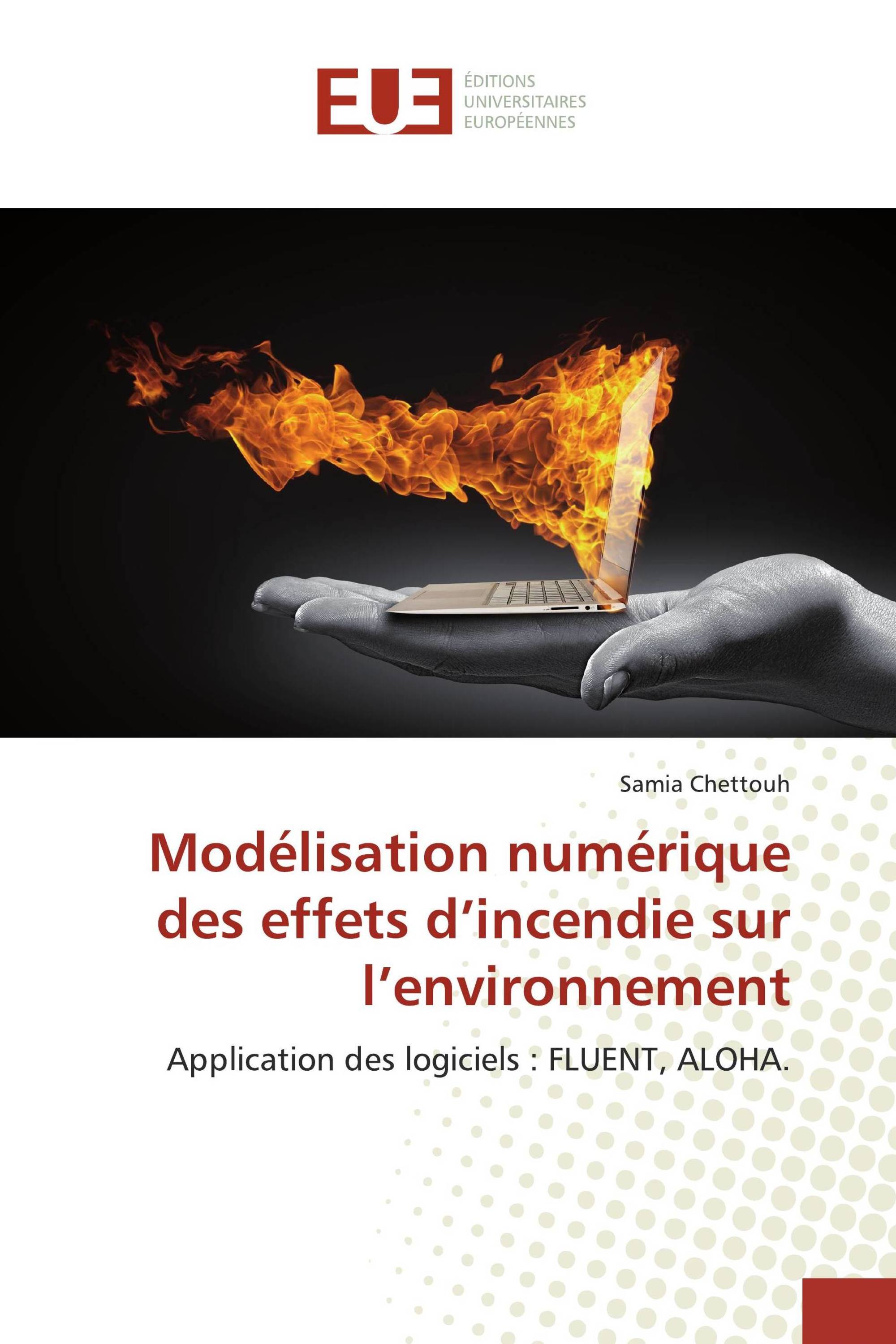 Modélisation numérique des effets d’incendie sur l’environnement