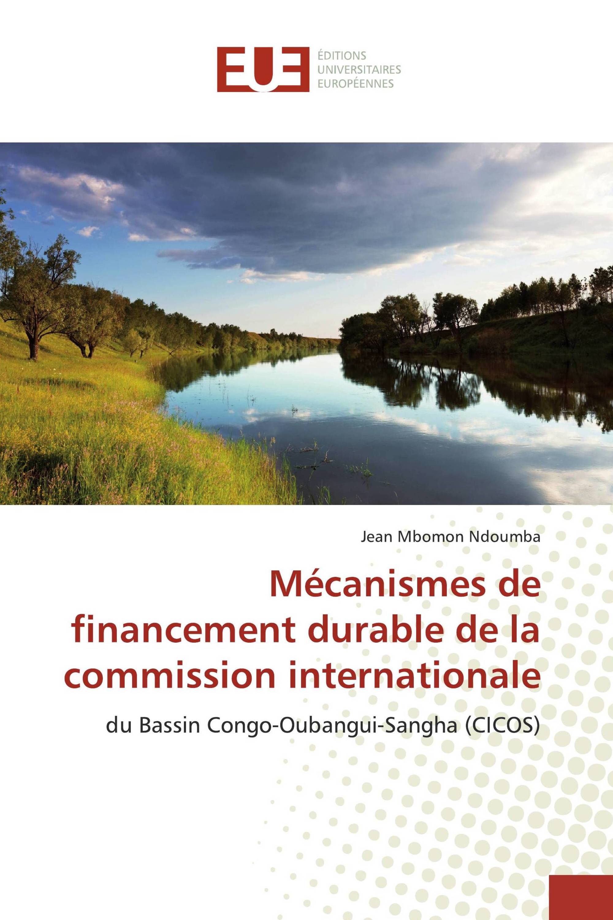 Mécanismes de financement durable de la commission internationale