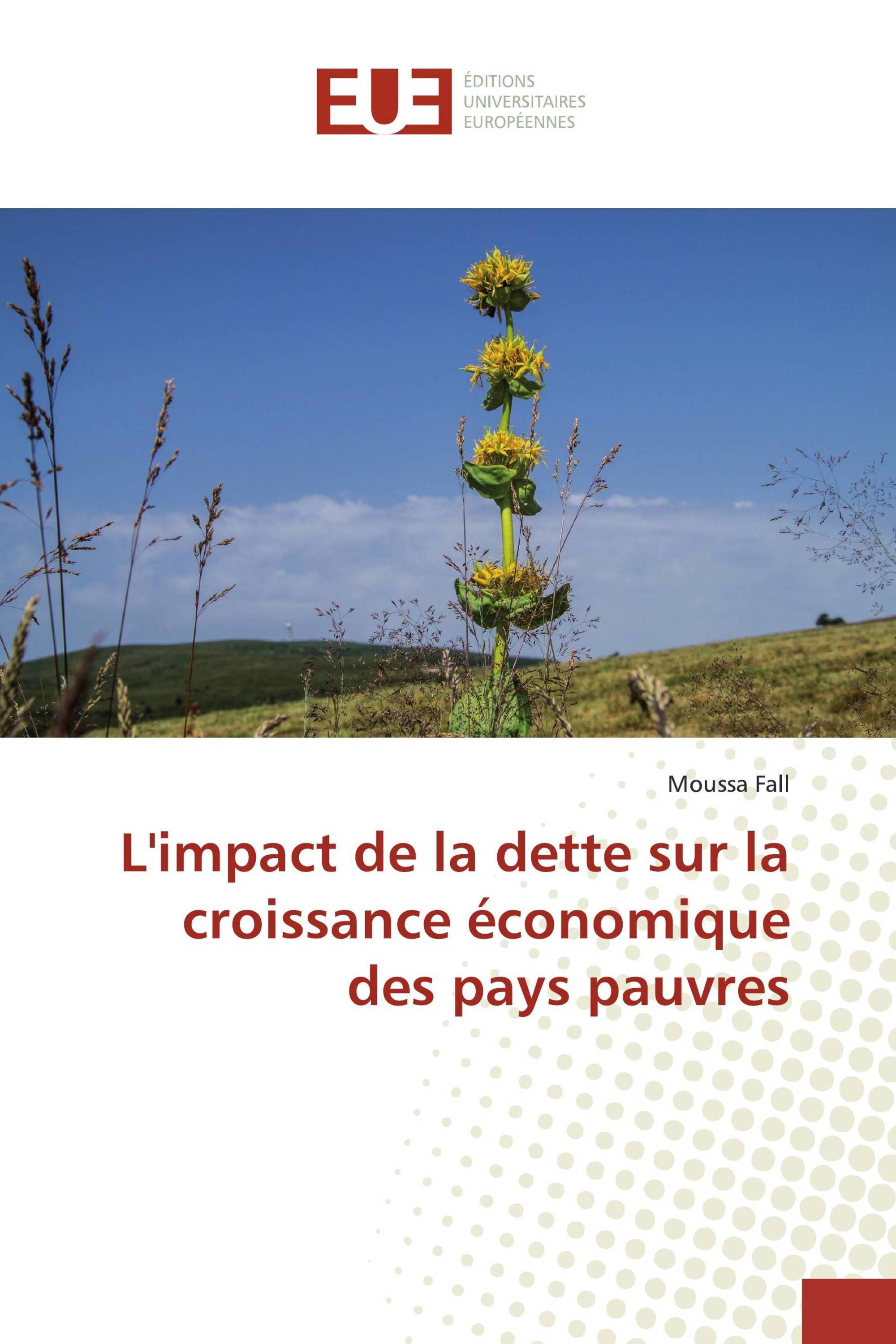 L'impact de la dette sur la croissance économique des pays pauvres