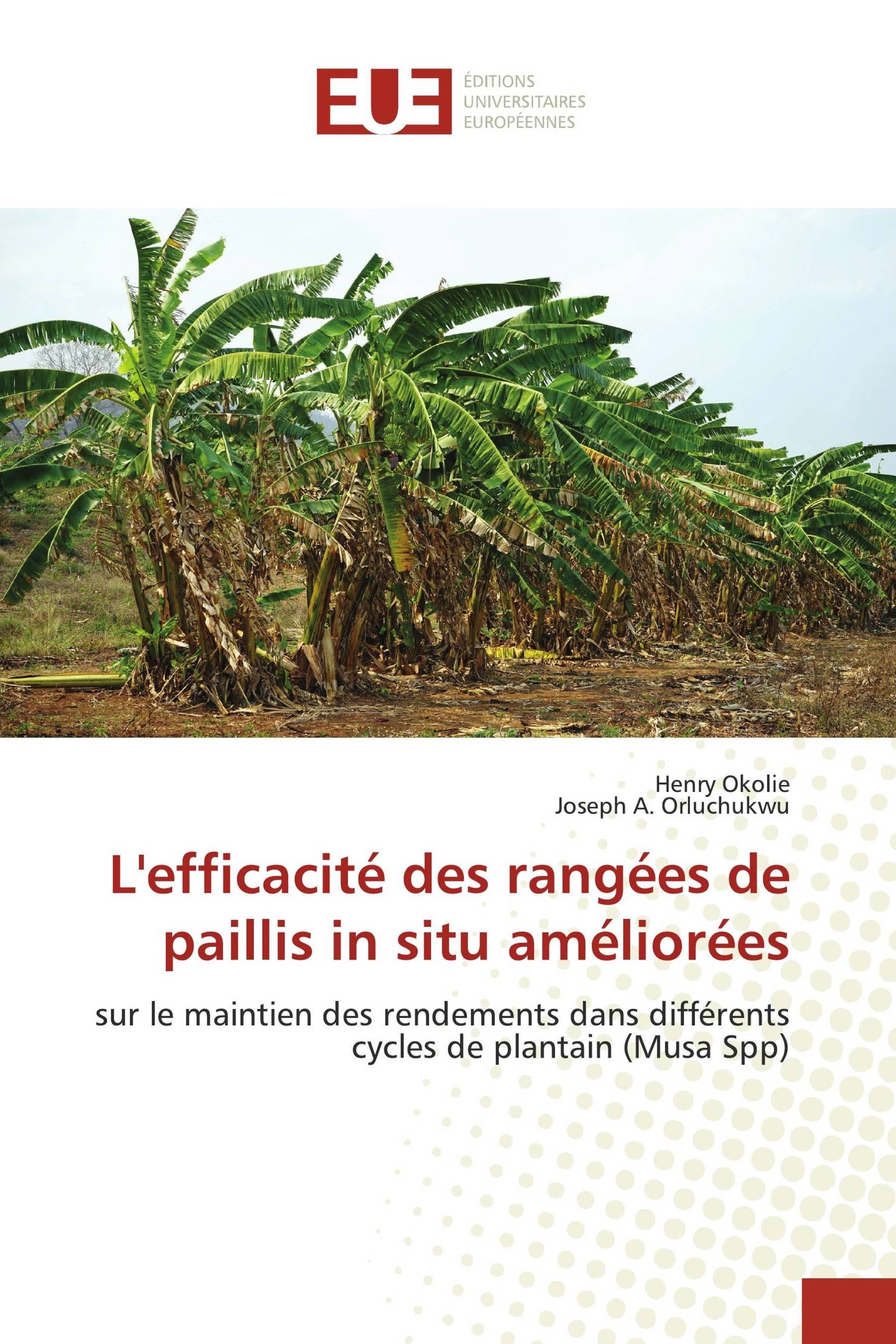 L'efficacité des rangées de paillis in situ améliorées