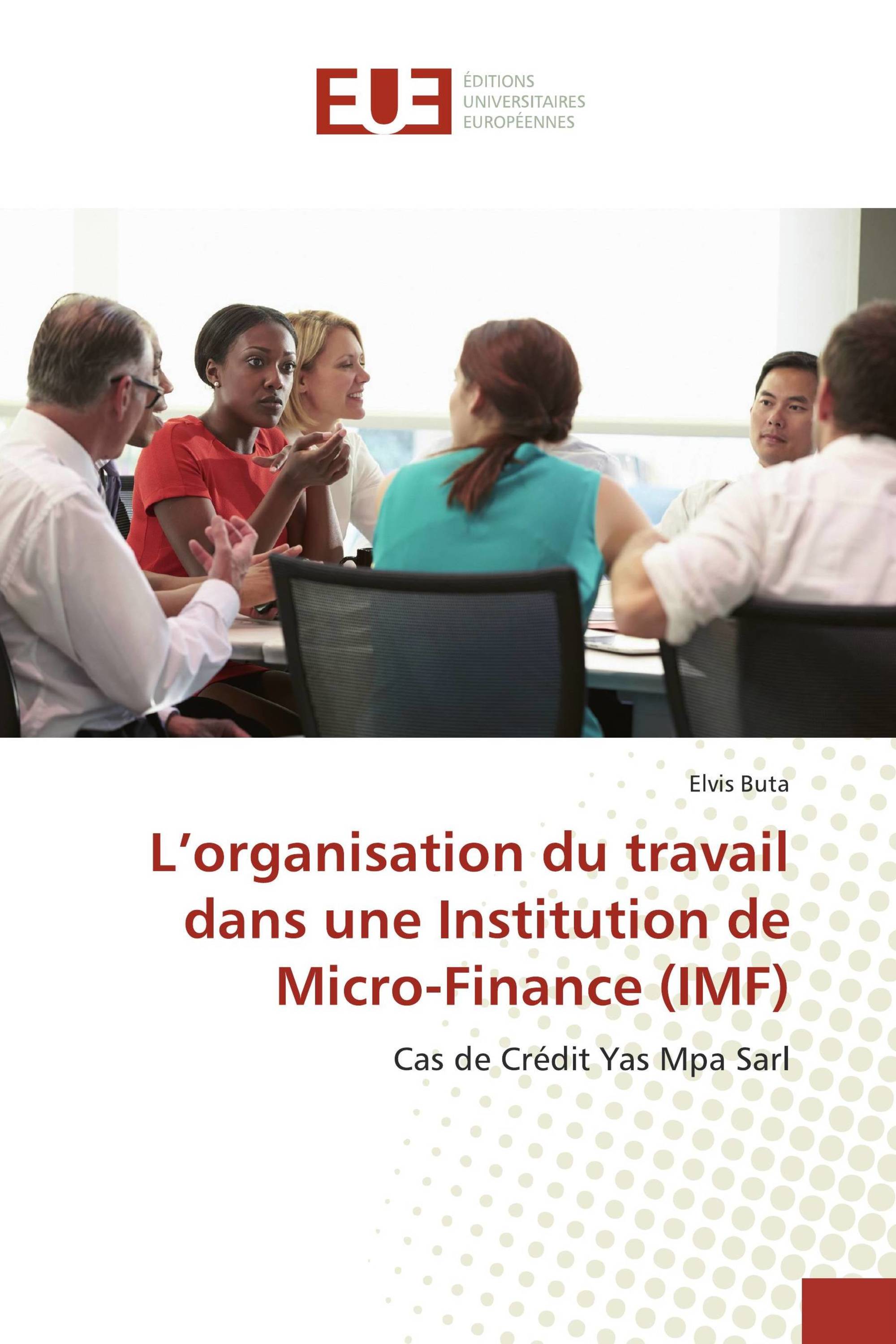 L’organisation du travail dans une Institution de Micro-Finance (IMF)