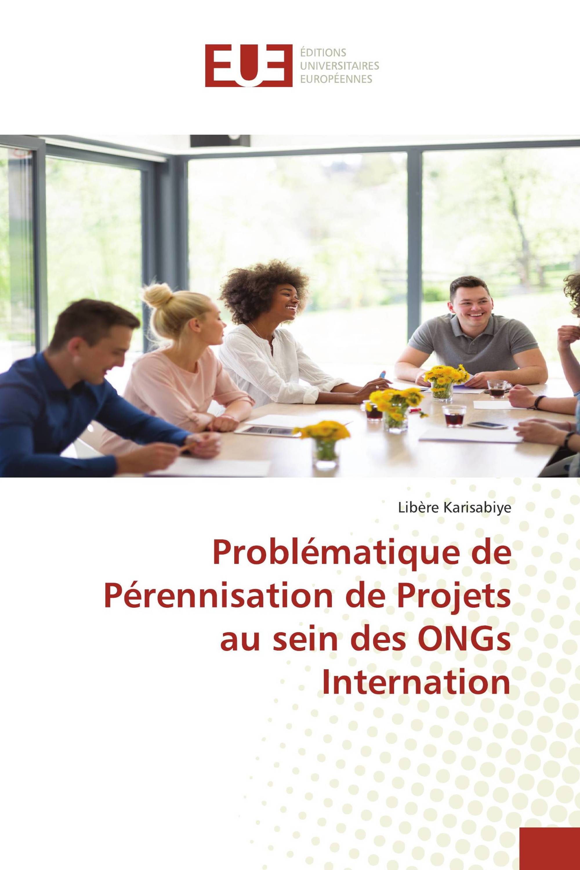 Problématique de Pérennisation de Projets au sein des ONGs Internation