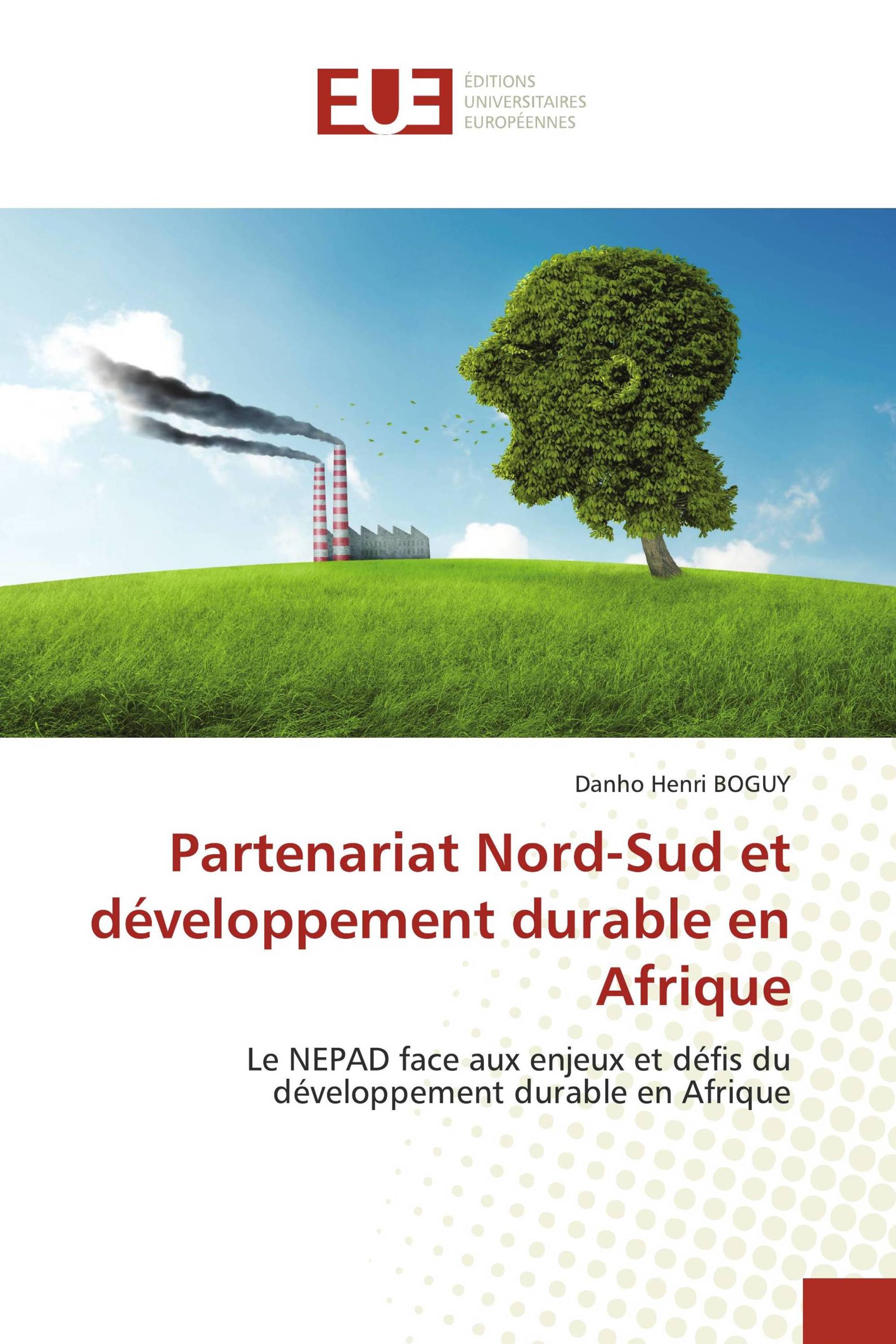 Partenariat Nord-Sud et développement durable en Afrique