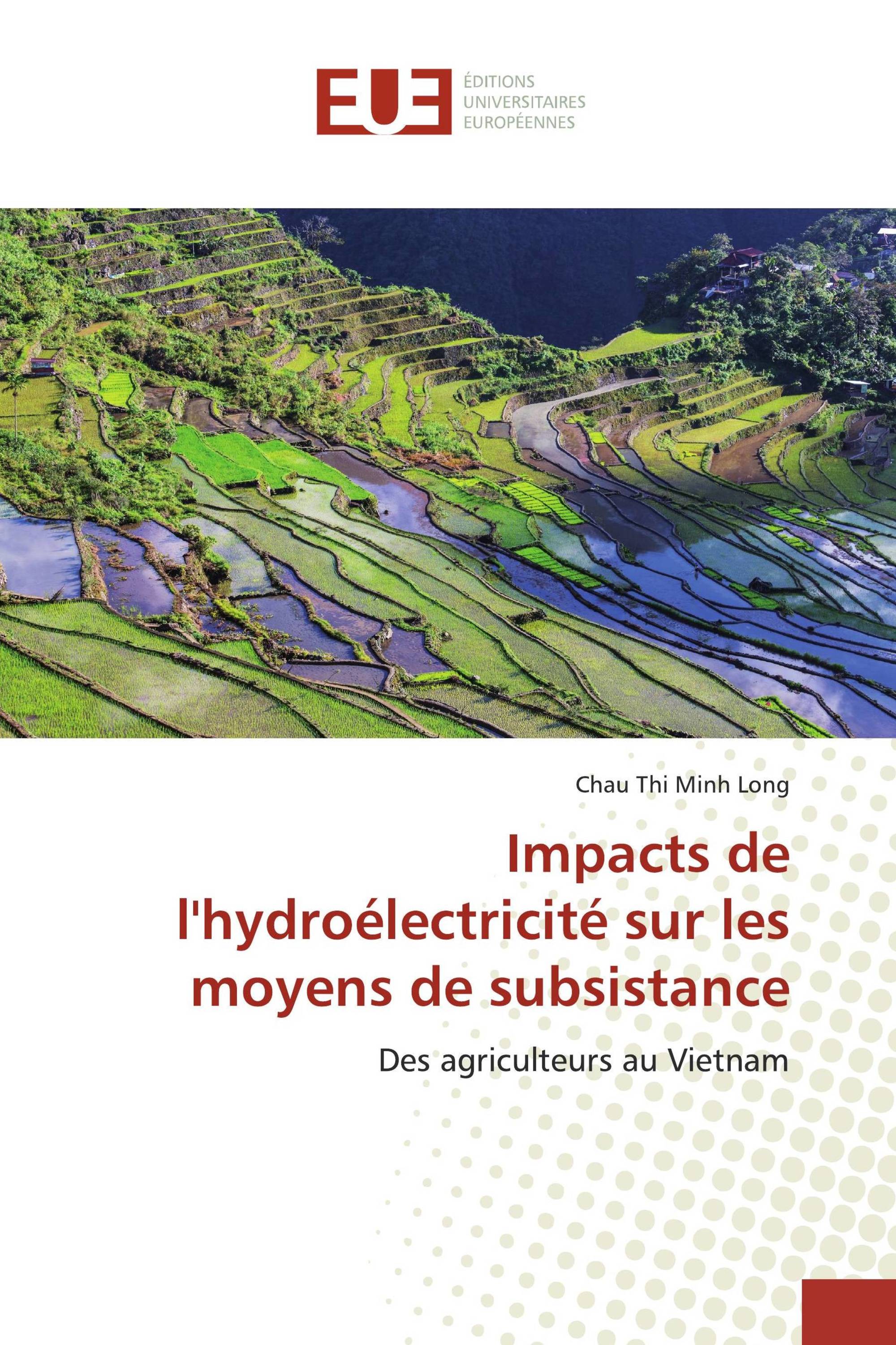 Impacts de l'hydroélectricité sur les moyens de subsistance