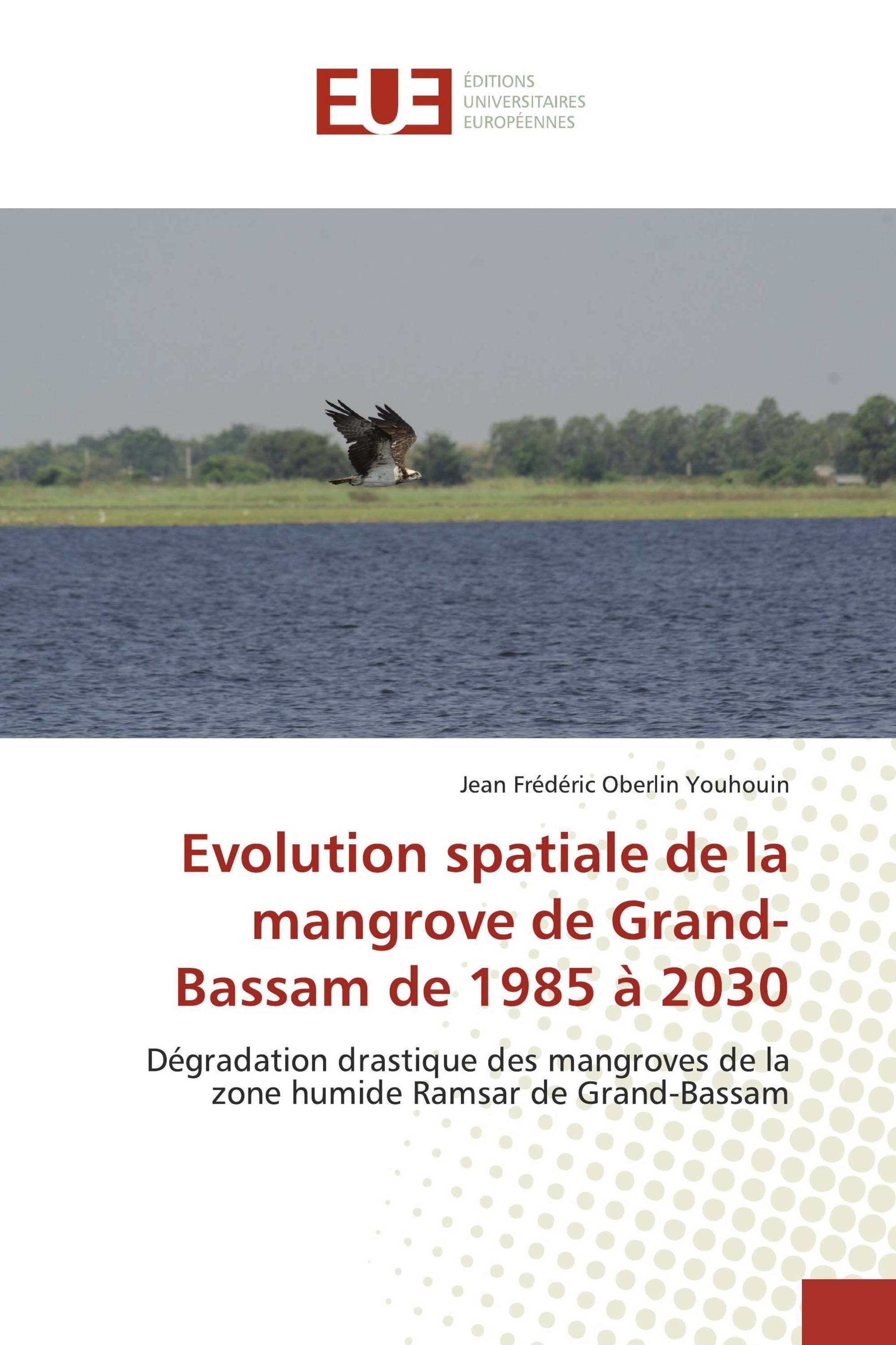 Evolution spatiale de la mangrove de Grand-Bassam de 1985 à 2030