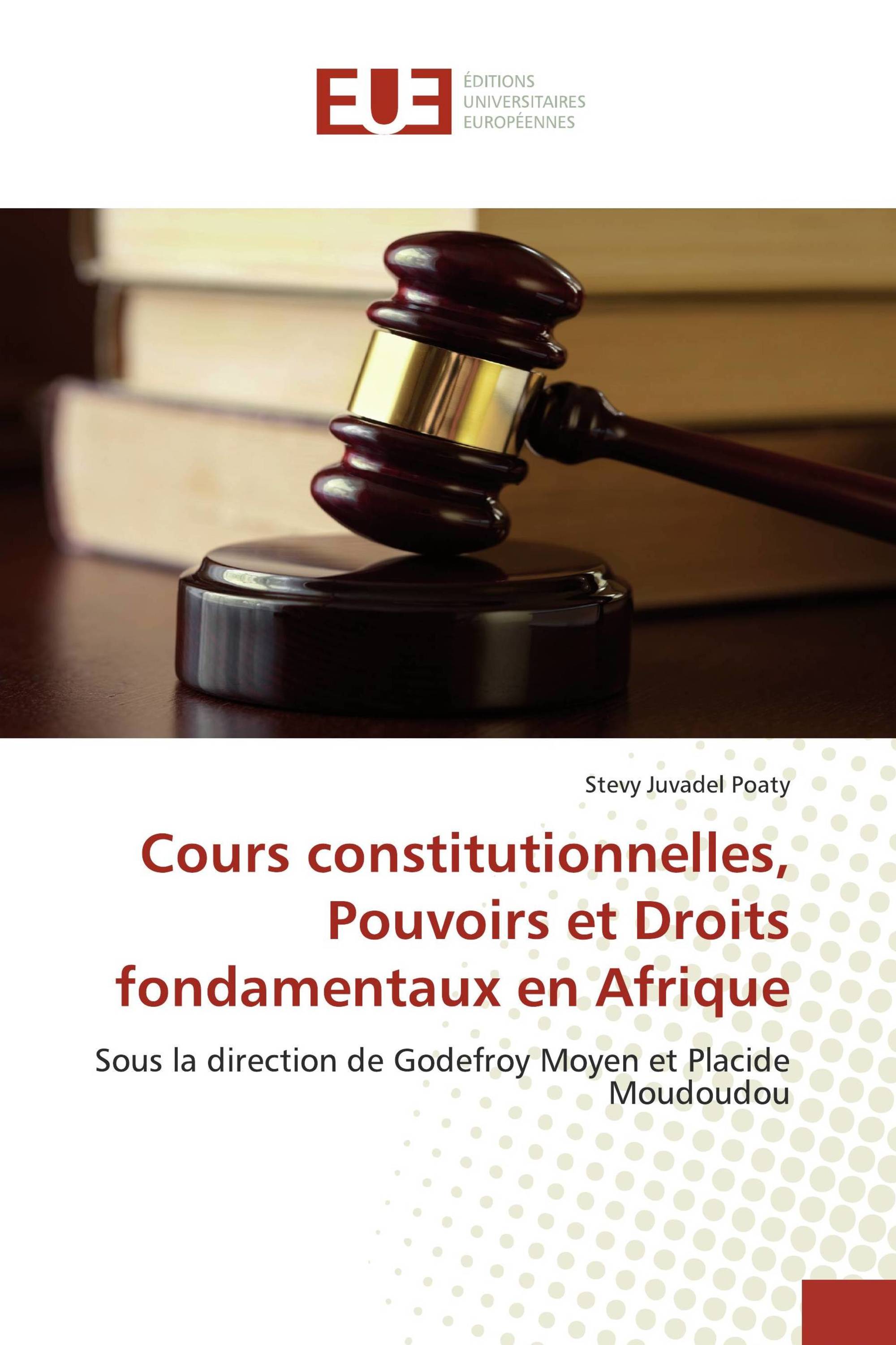 Cours constitutionnelles, Pouvoirs et Droits fondamentaux en Afrique