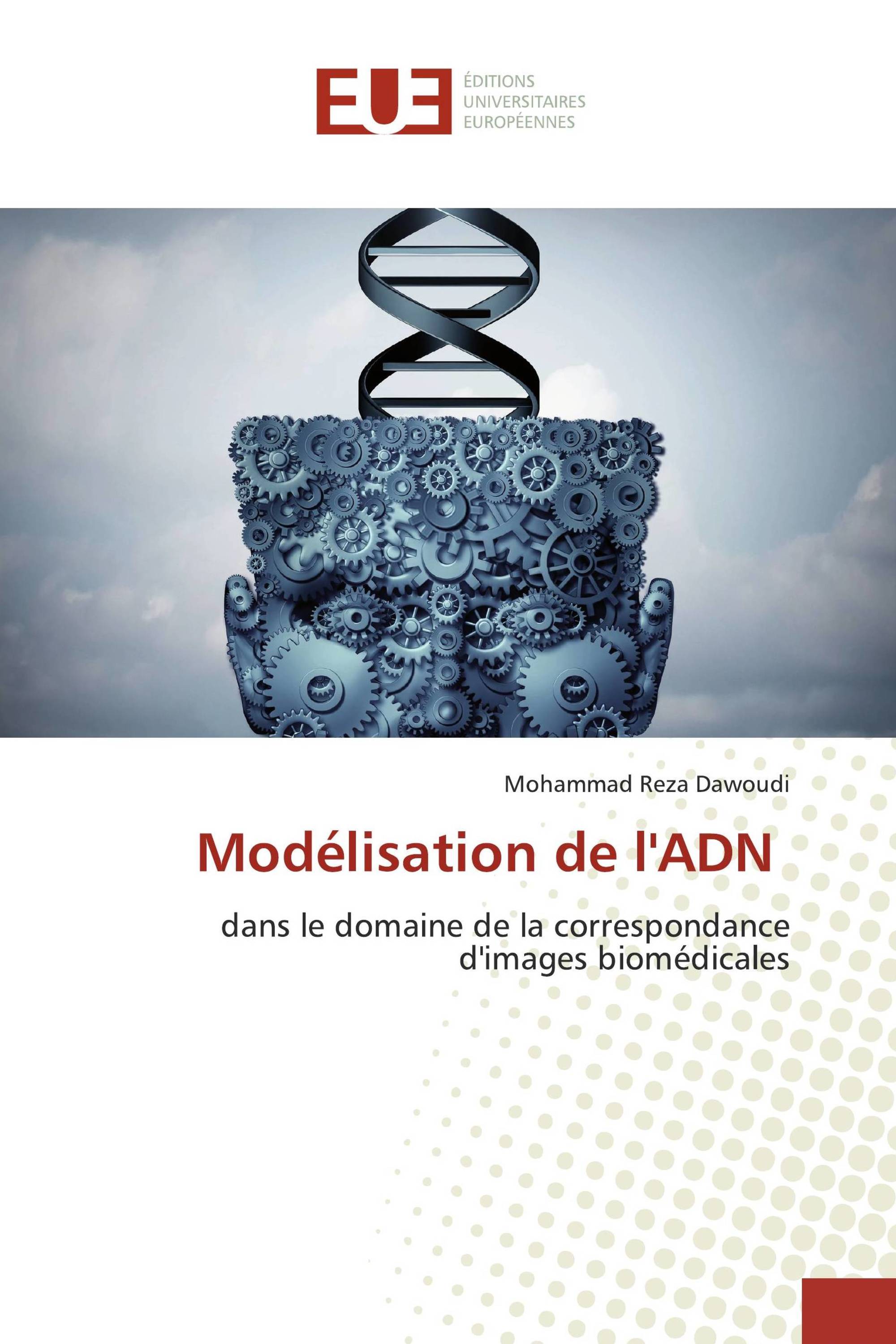 Modélisation de l'ADN