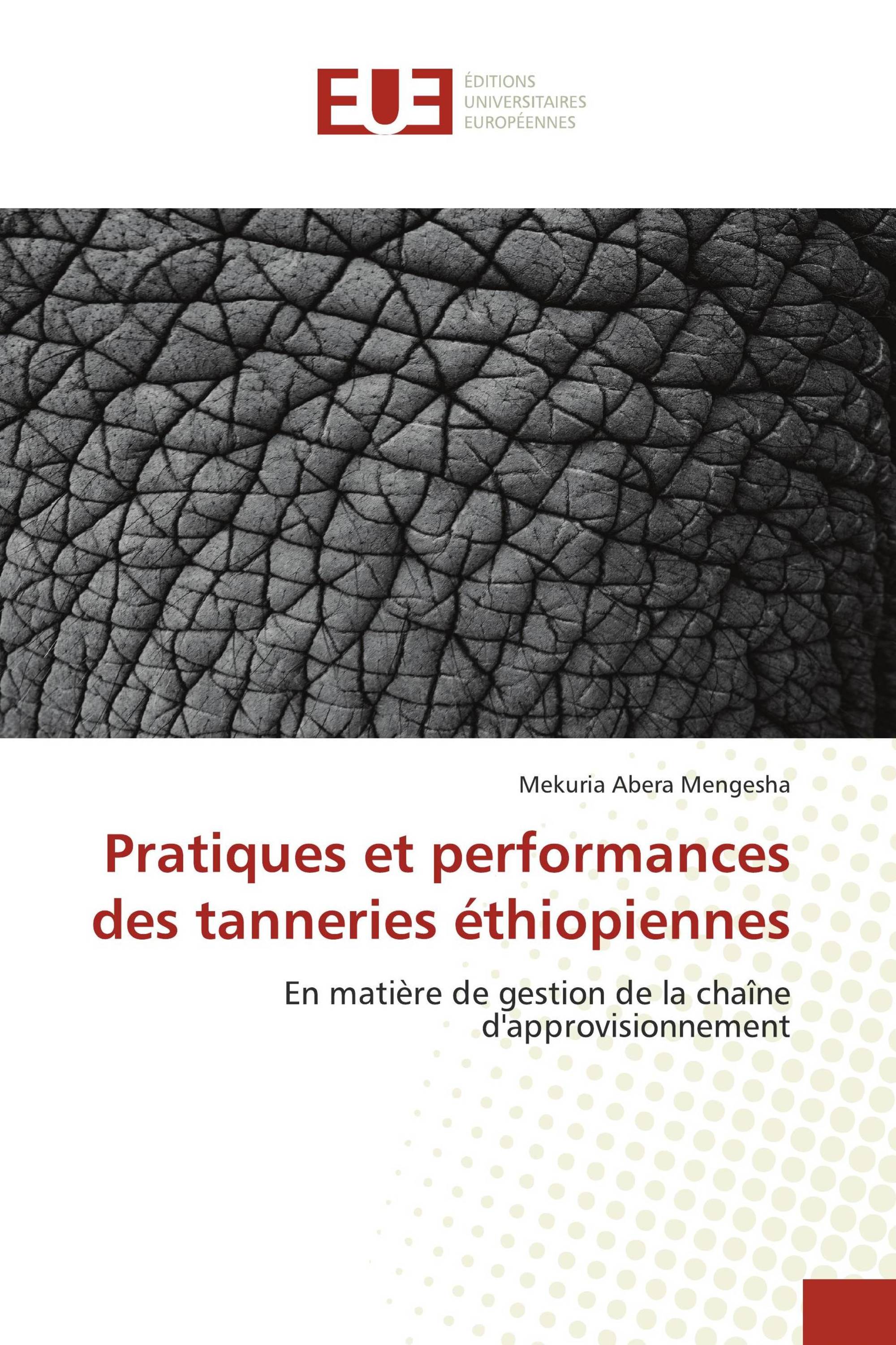 Pratiques et performances des tanneries éthiopiennes