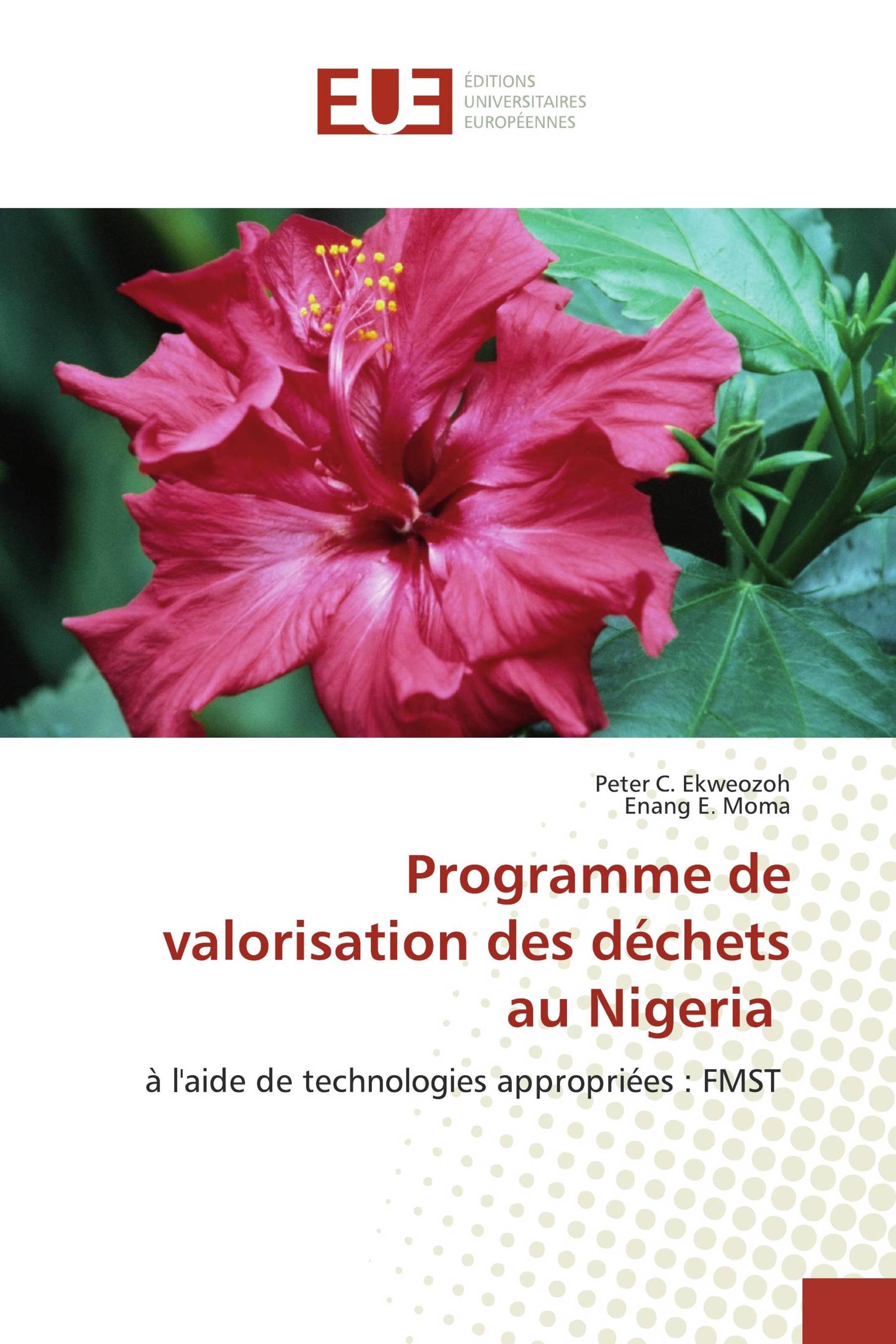 Programme de valorisation des déchets au Nigeria