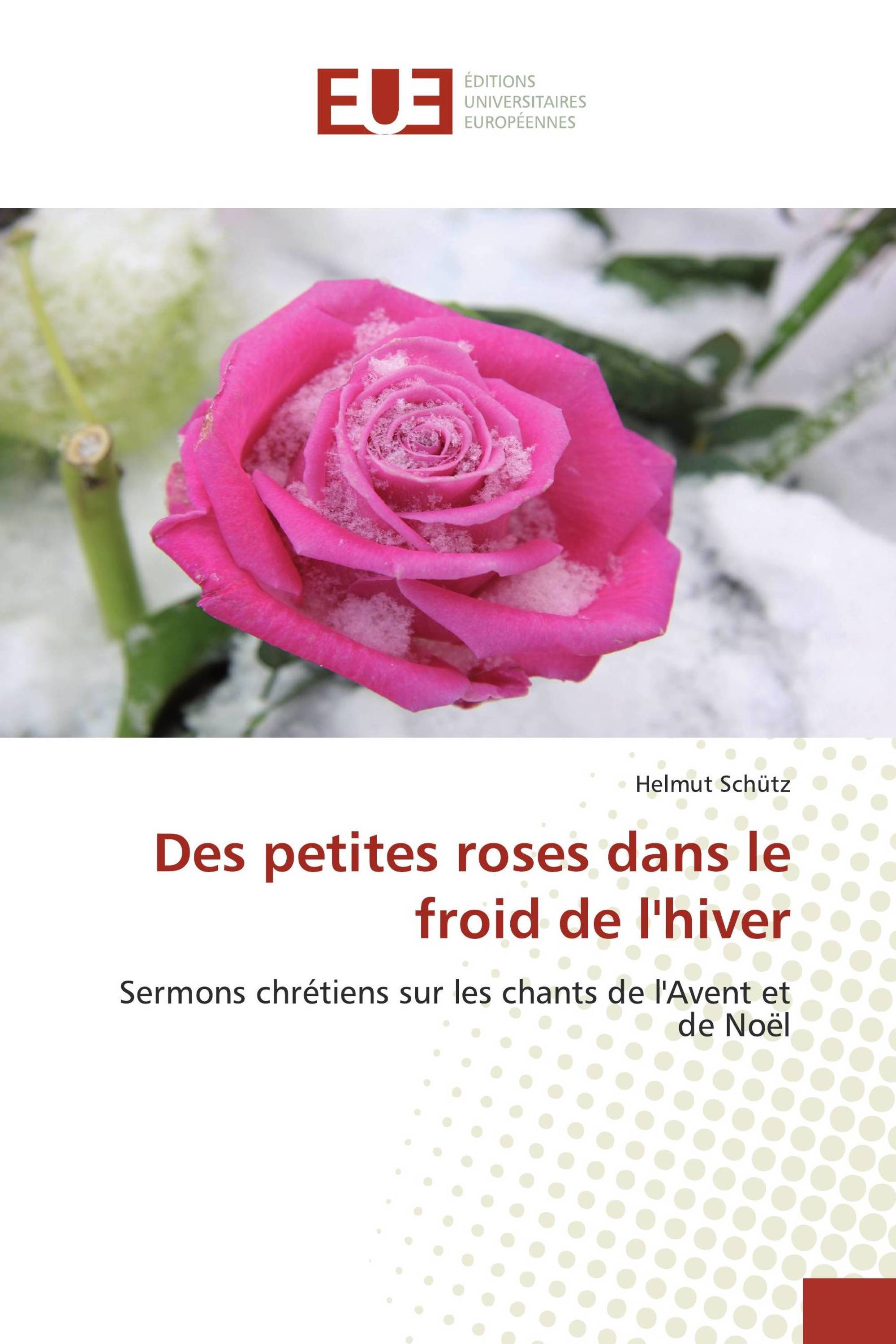 Des petites roses dans le froid de l'hiver