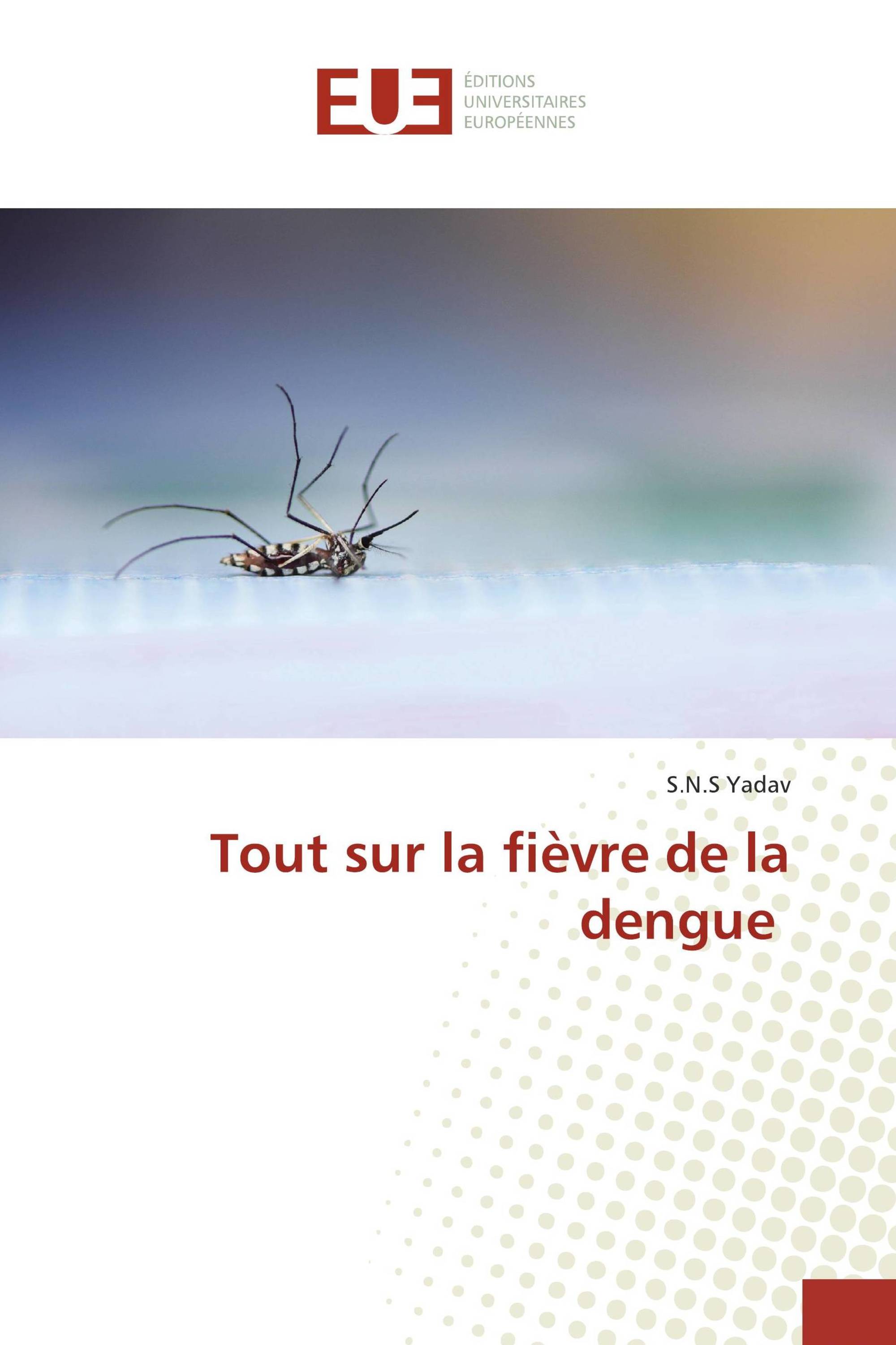 Tout sur la fièvre de la dengue