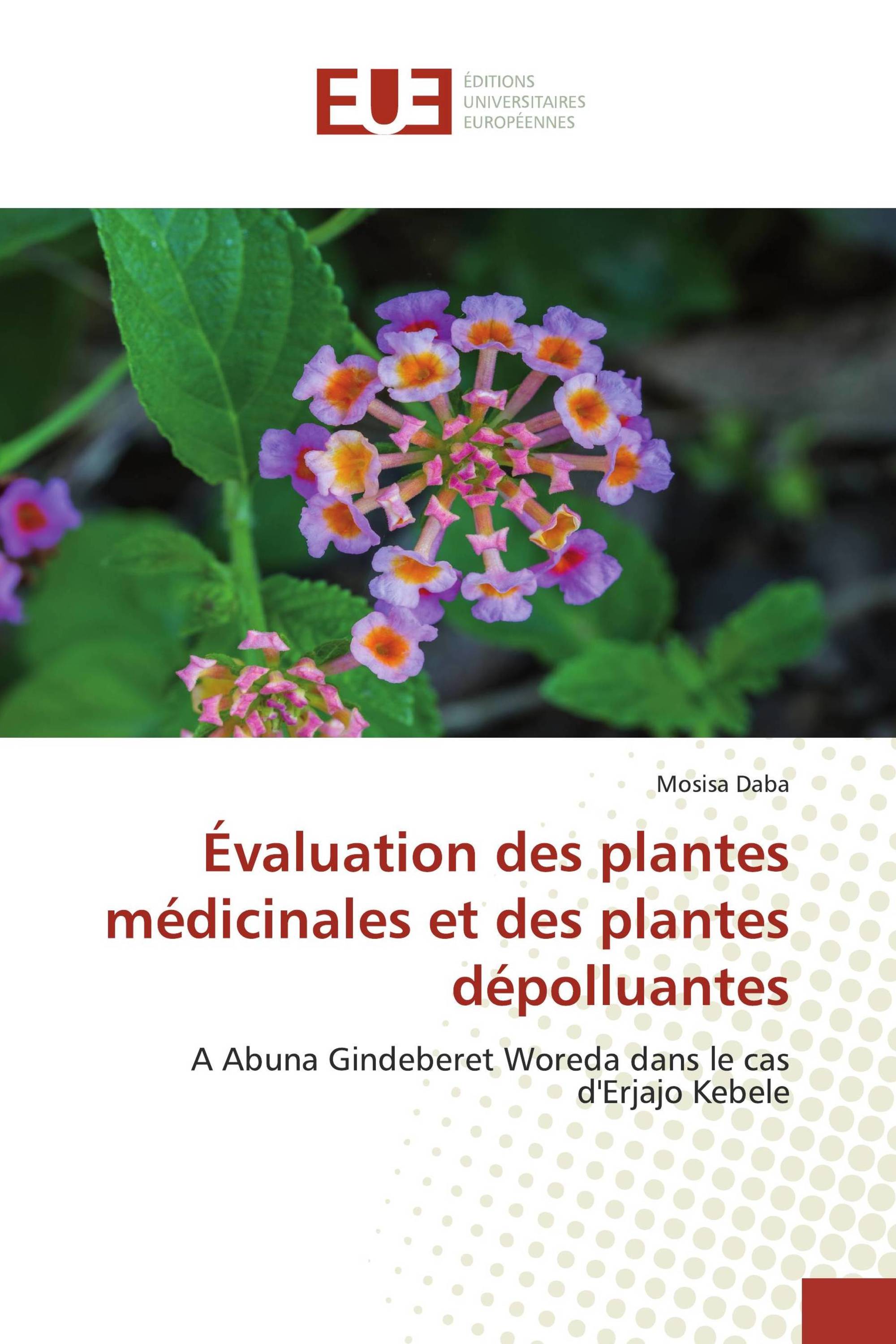 Évaluation des plantes médicinales et des plantes dépolluantes