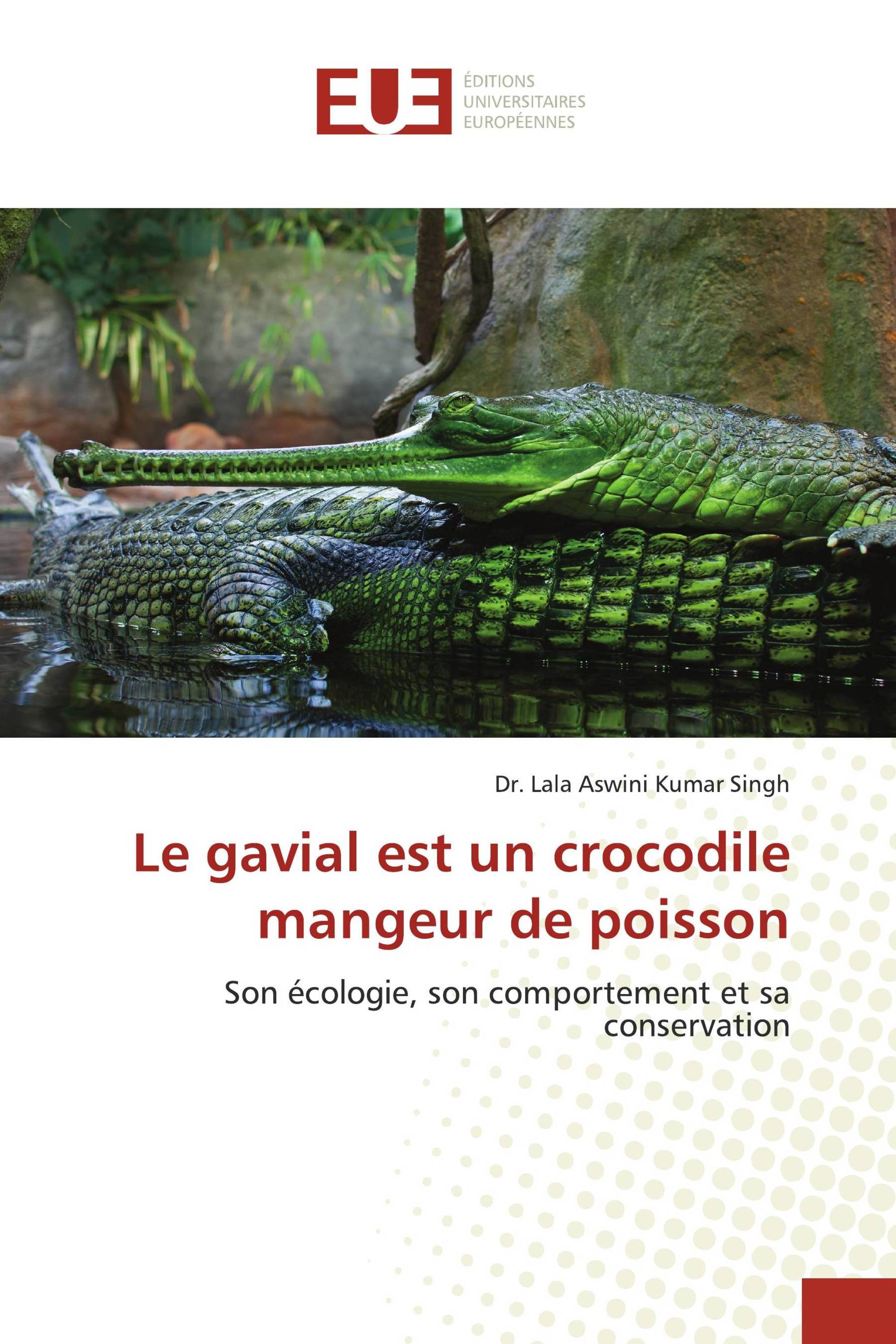 Le gavial est un crocodile mangeur de poisson