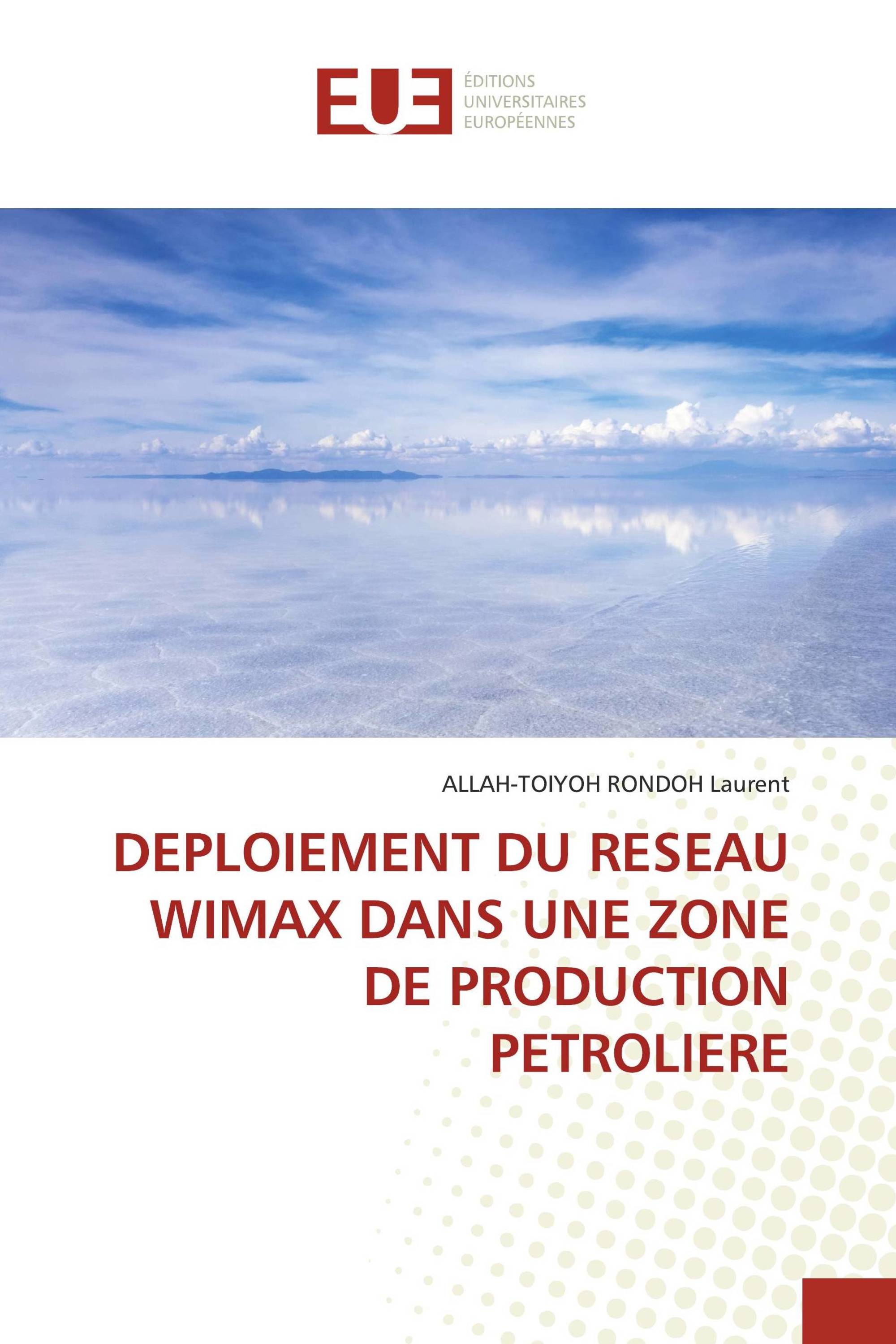 DEPLOIEMENT DU RESEAU WIMAX DANS UNE ZONE DE PRODUCTION PETROLIERE