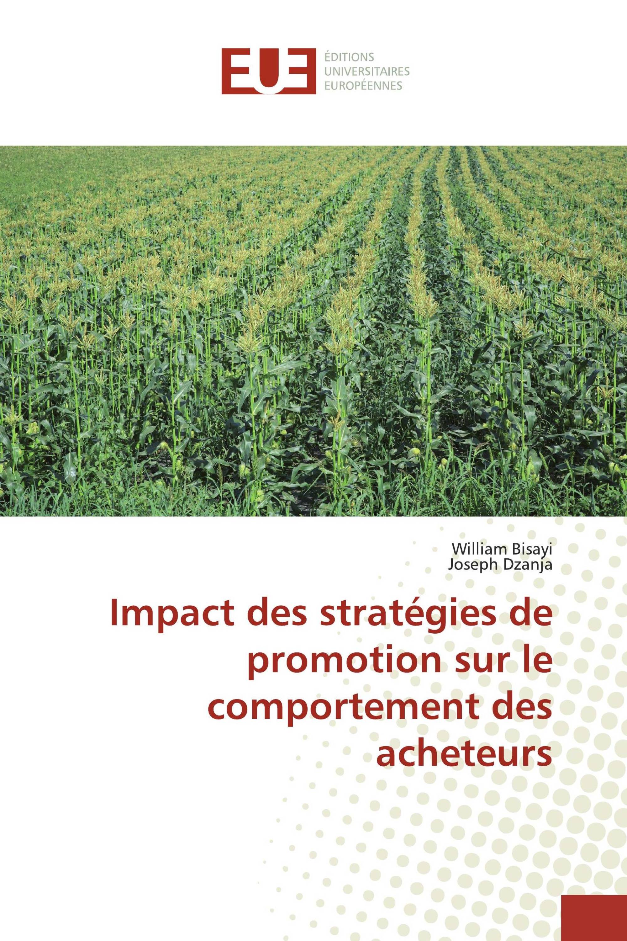 Impact des stratégies de promotion sur le comportement des acheteurs