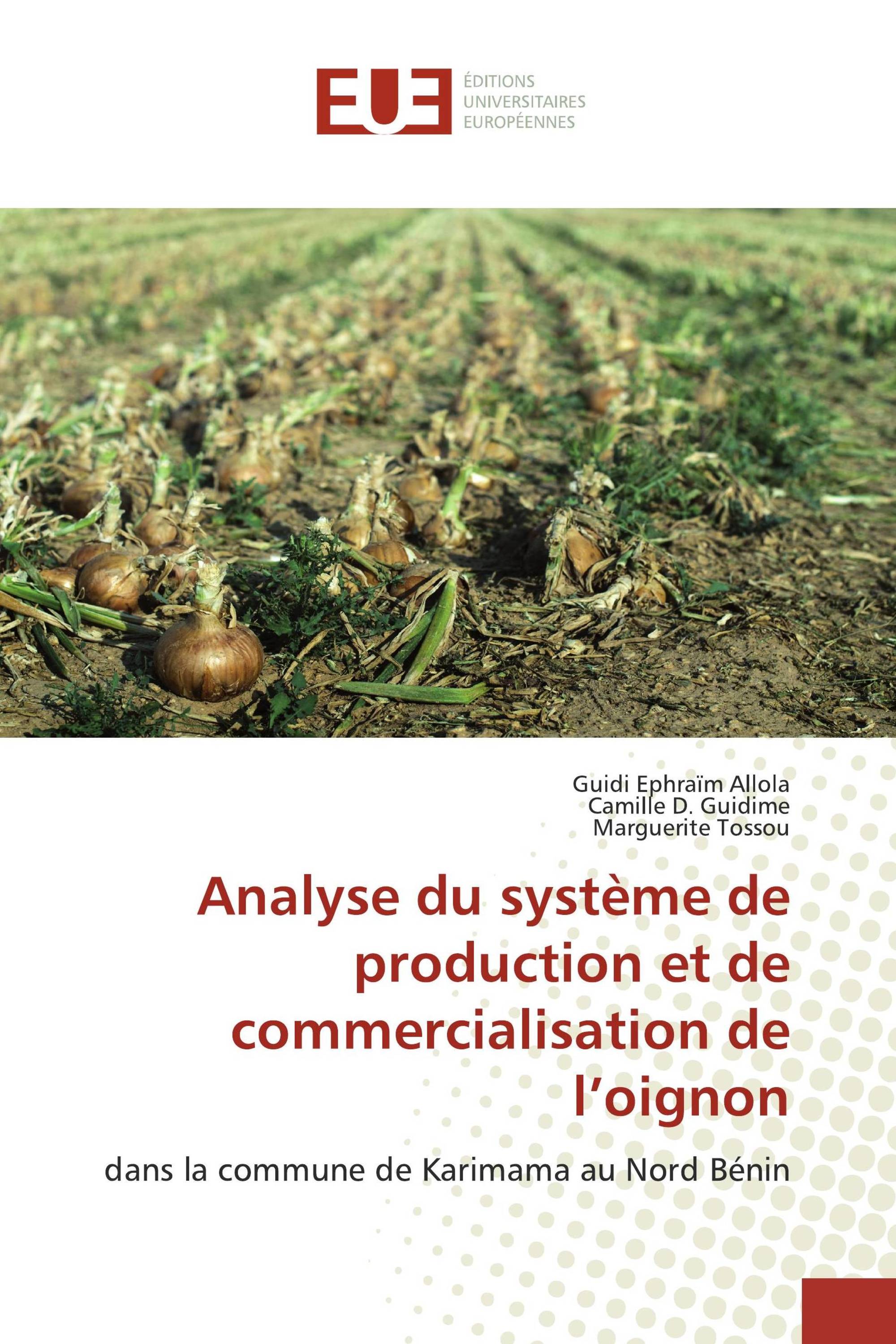 Analyse du système de production et de commercialisation de l’oignon