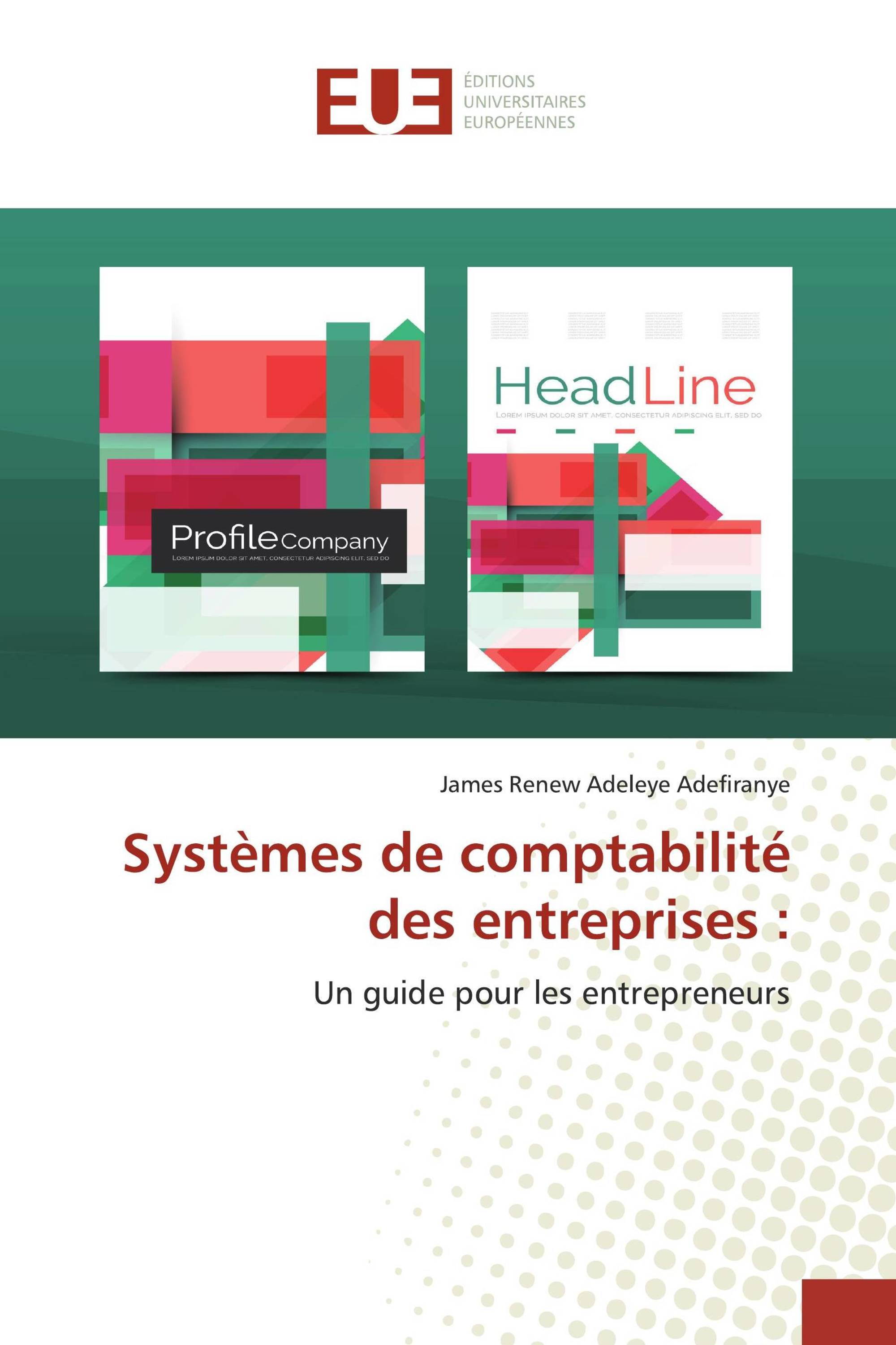 Systèmes de comptabilité des entreprises :