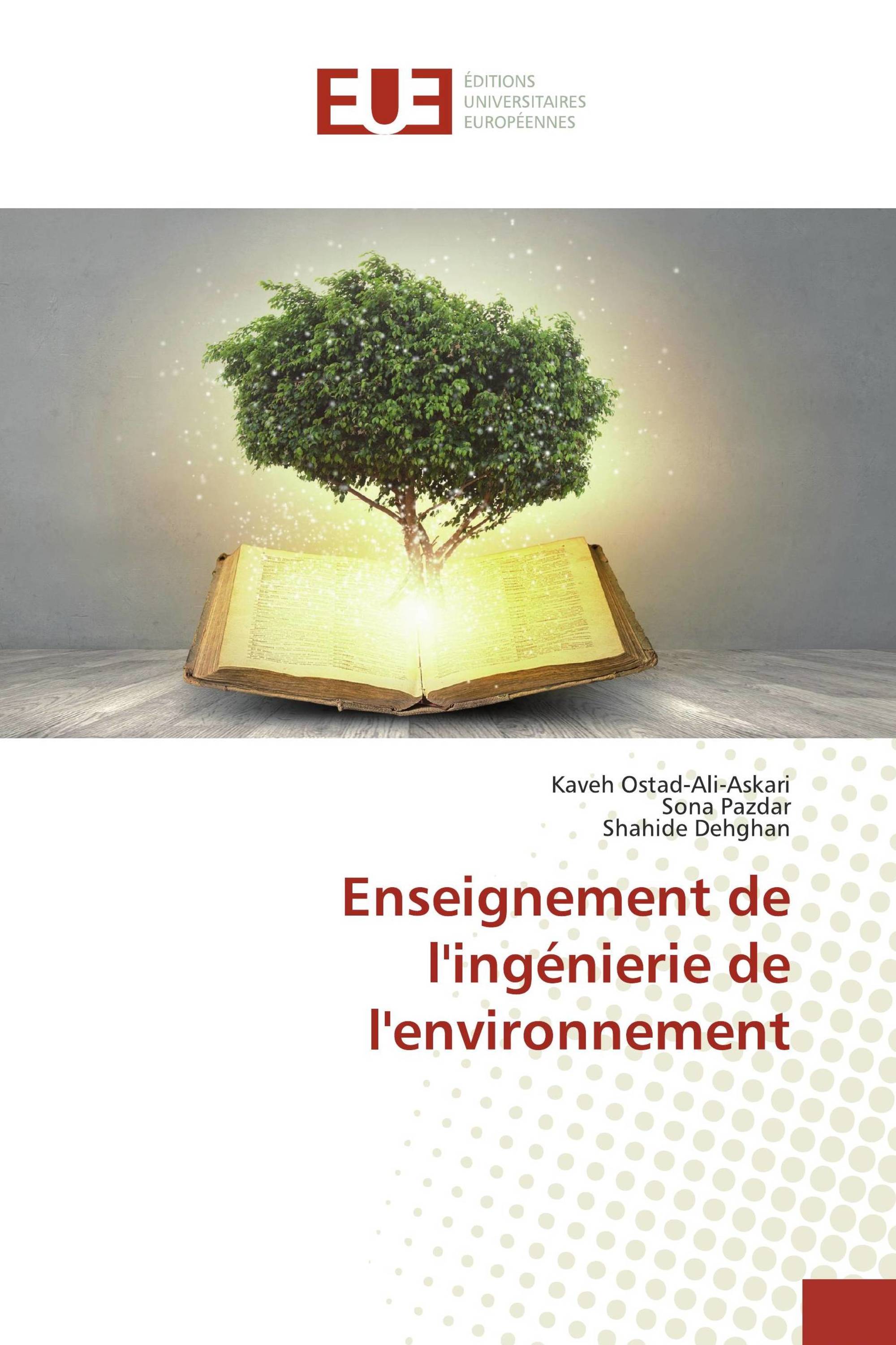 Enseignement de l'ingénierie de l'environnement