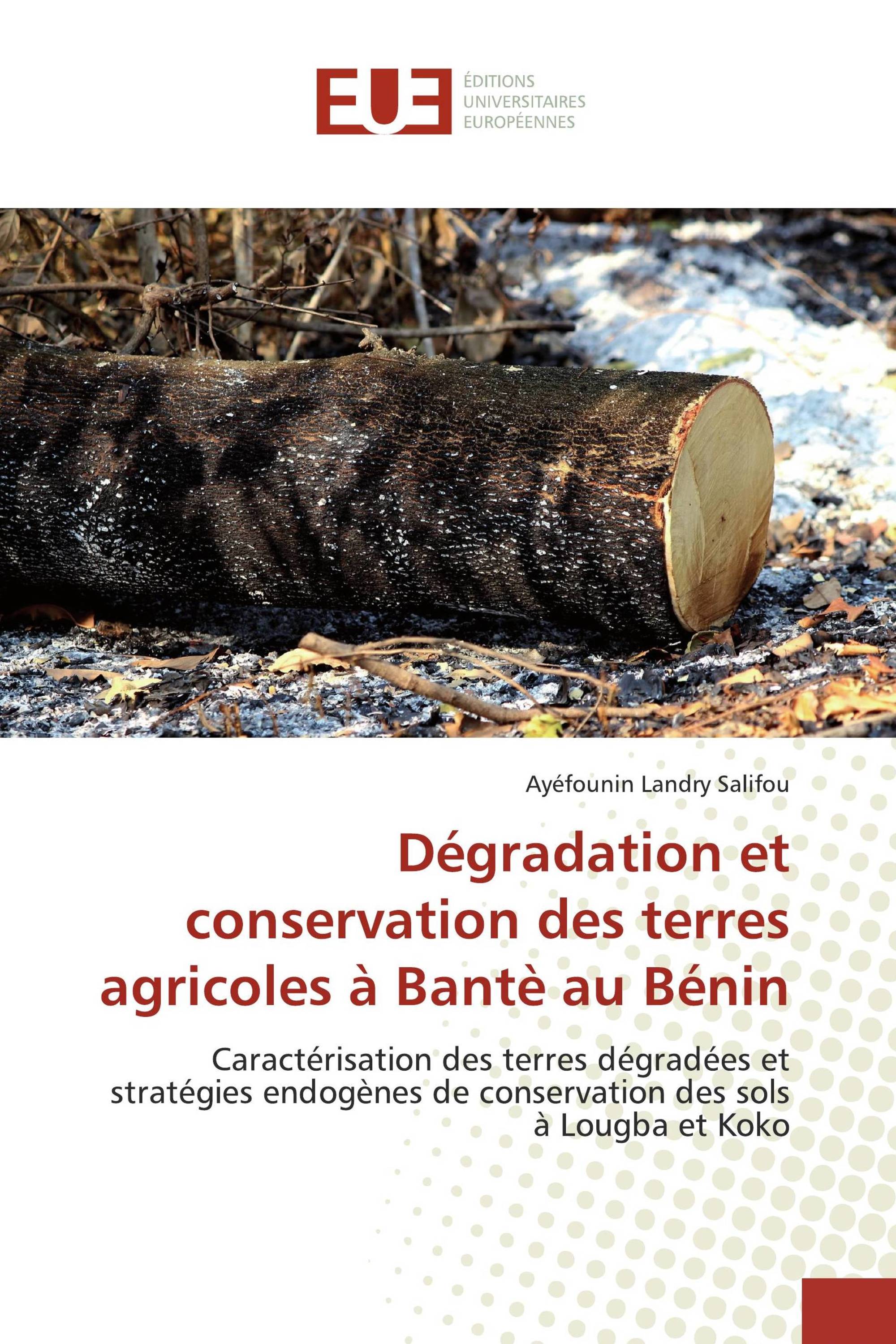 Dégradation et conservation des terres agricoles à Bantè au Bénin