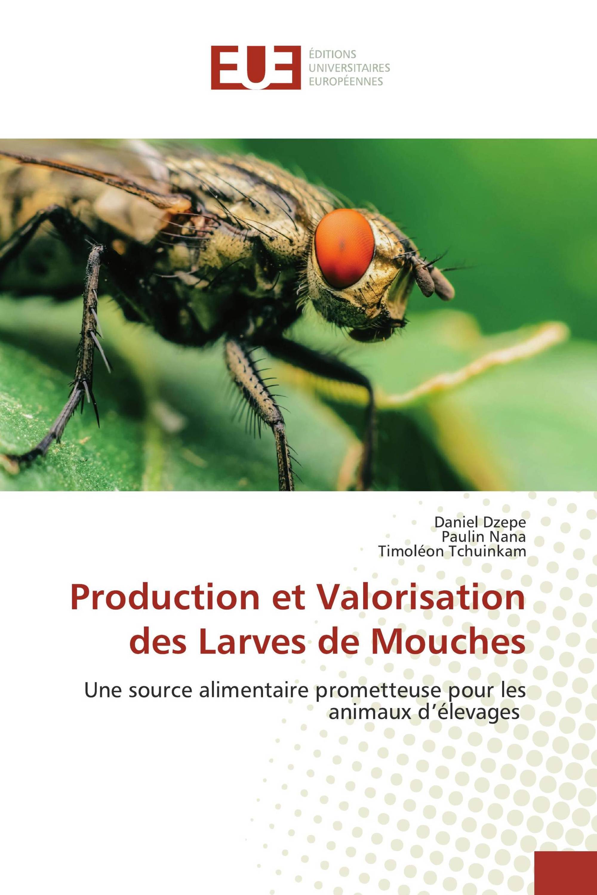 Production et Valorisation des Larves de Mouches