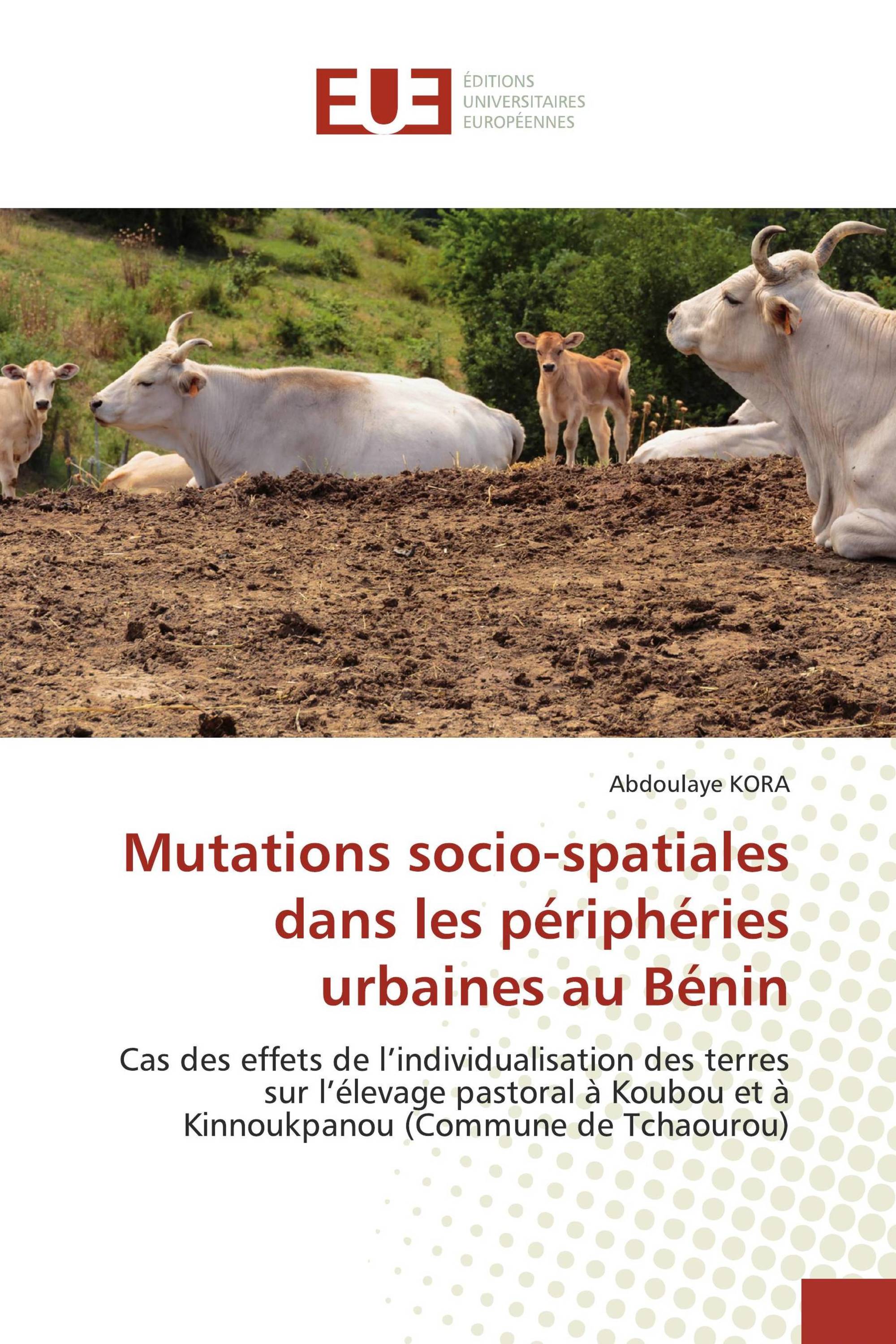 Mutations socio-spatiales dans les périphéries urbaines au Bénin