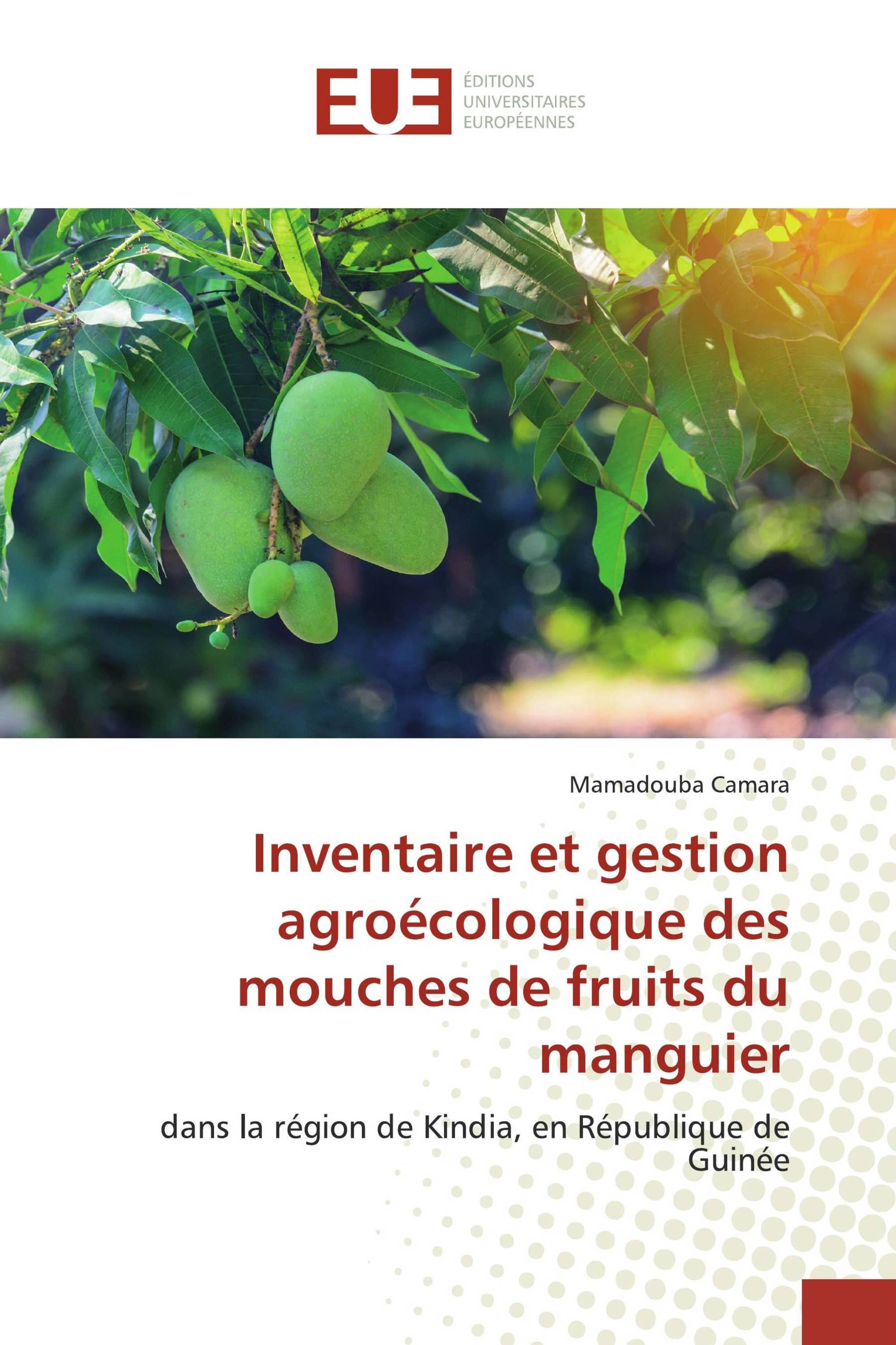 Inventaire et gestion agroécologique des mouches de fruits du manguier