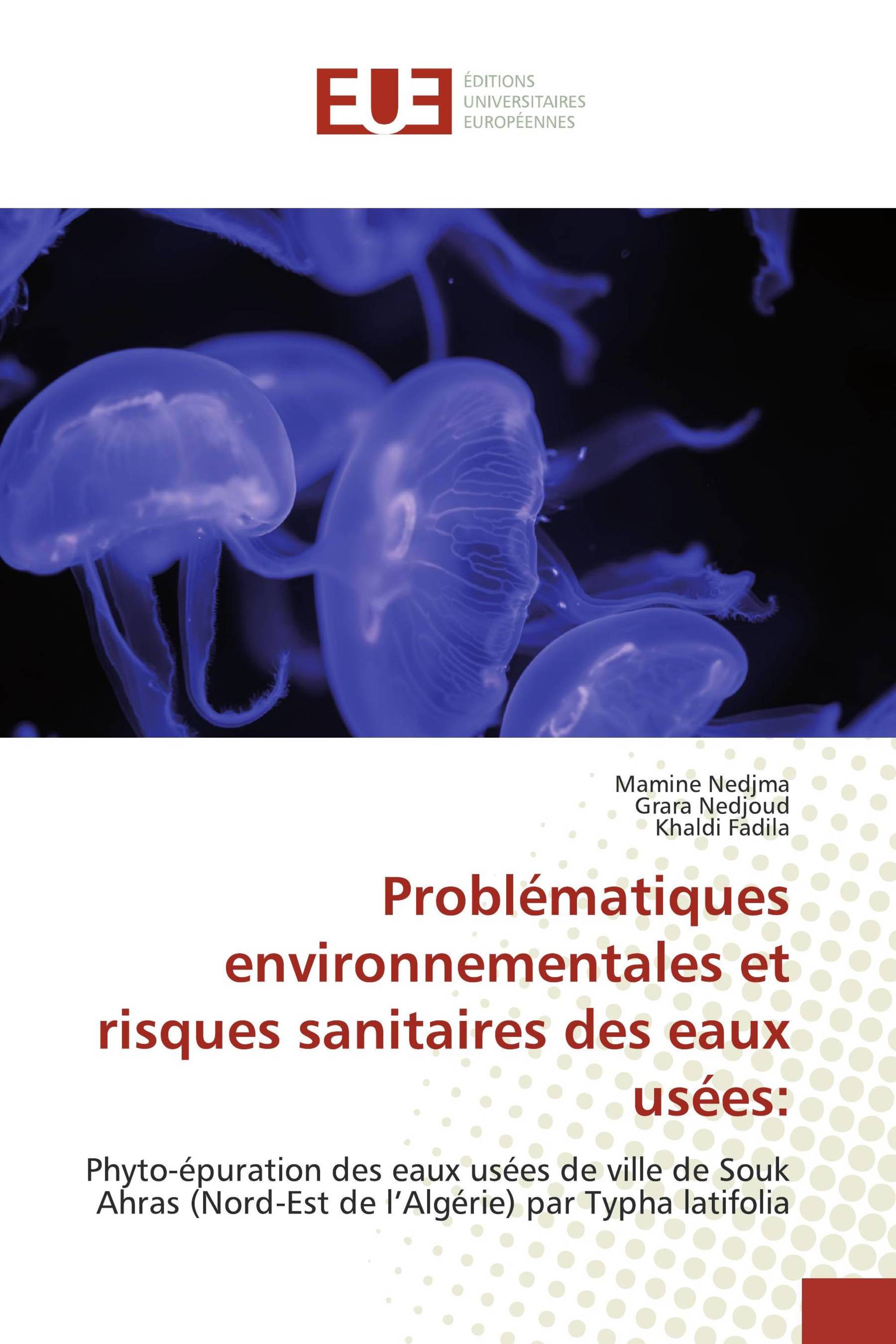 Problématiques environnementales et risques sanitaires des eaux usées: