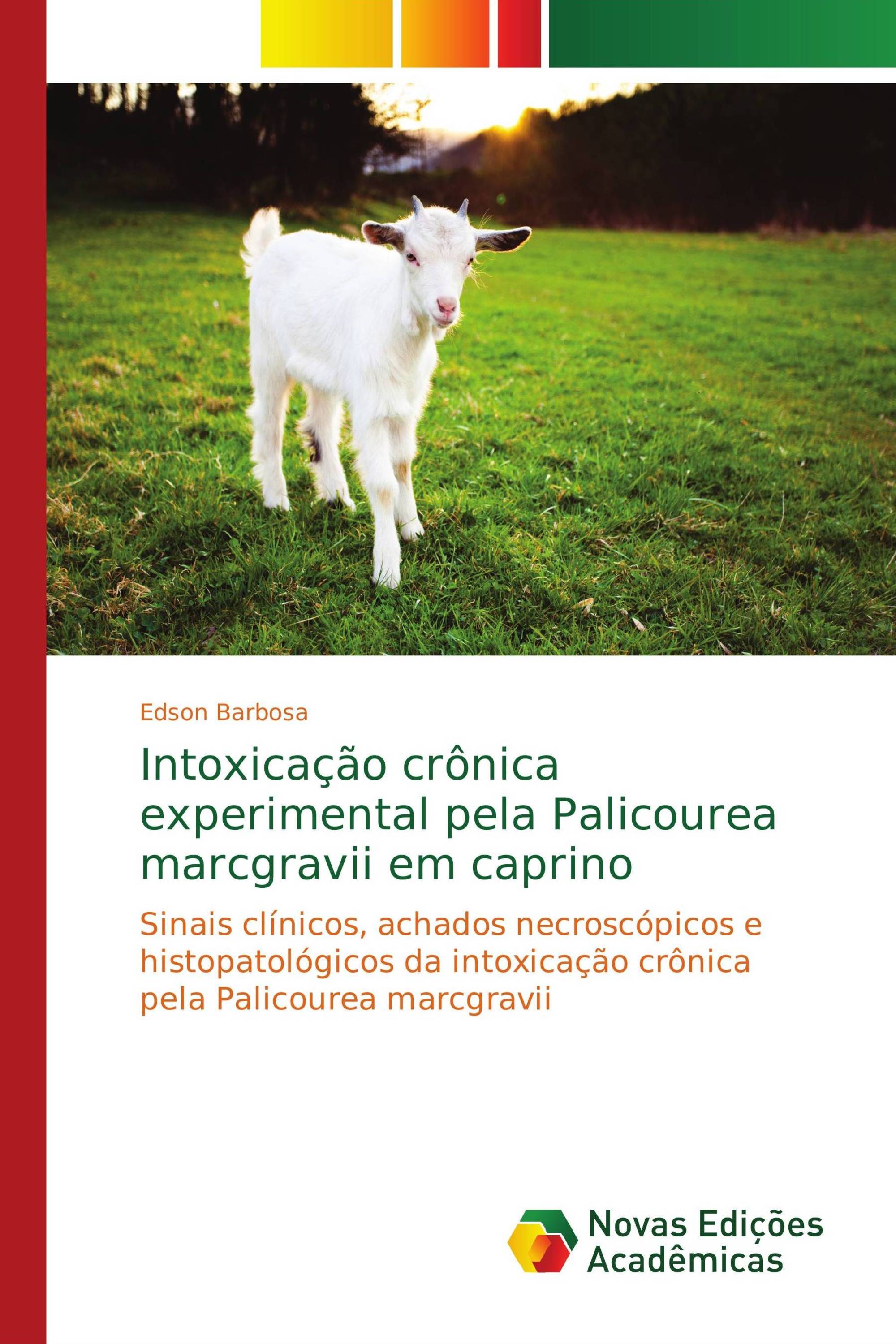 Intoxicação crônica experimental pela Palicourea marcgravii em caprino