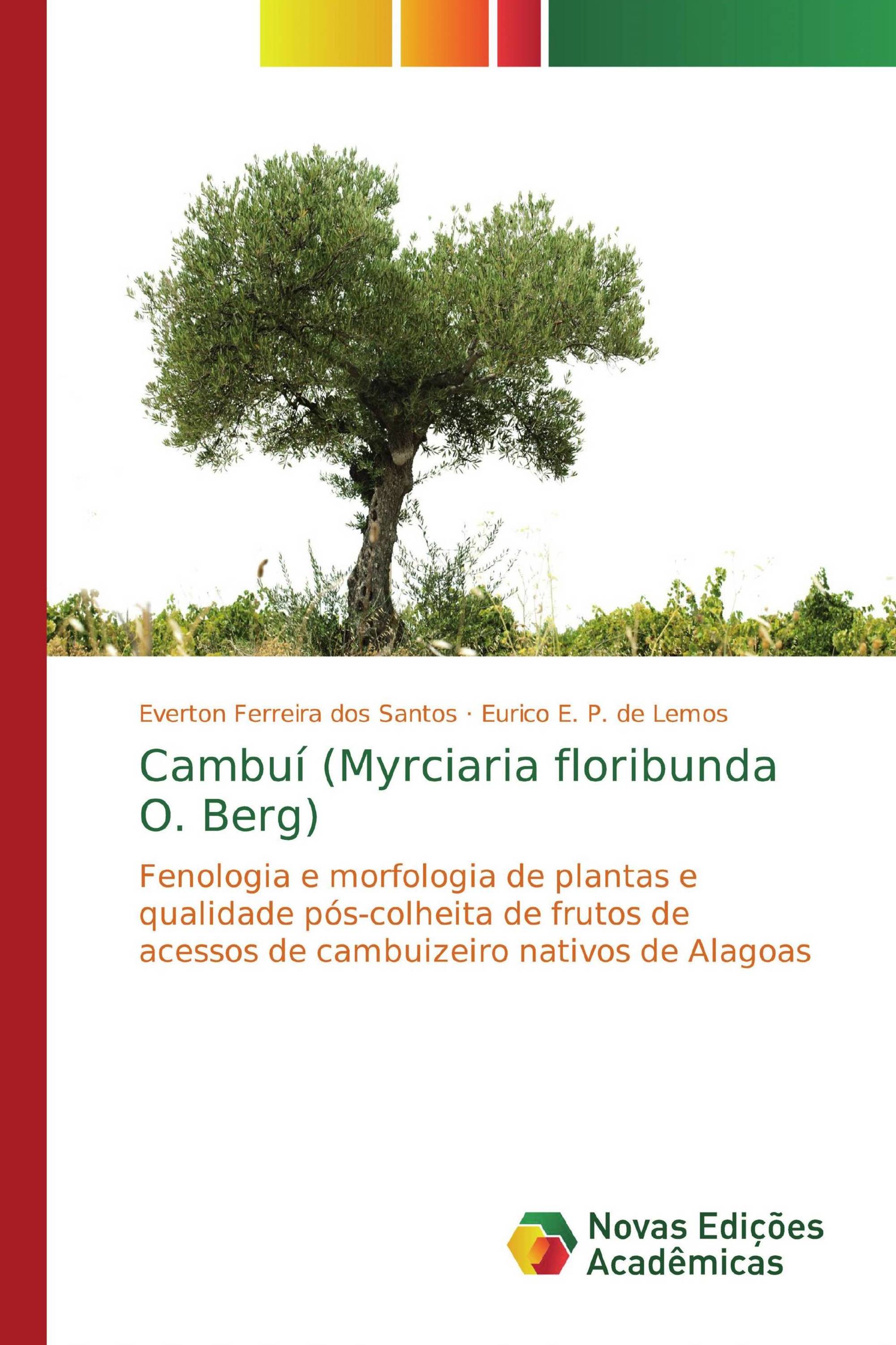 Cambuí (Myrciaria floribunda O. Berg)