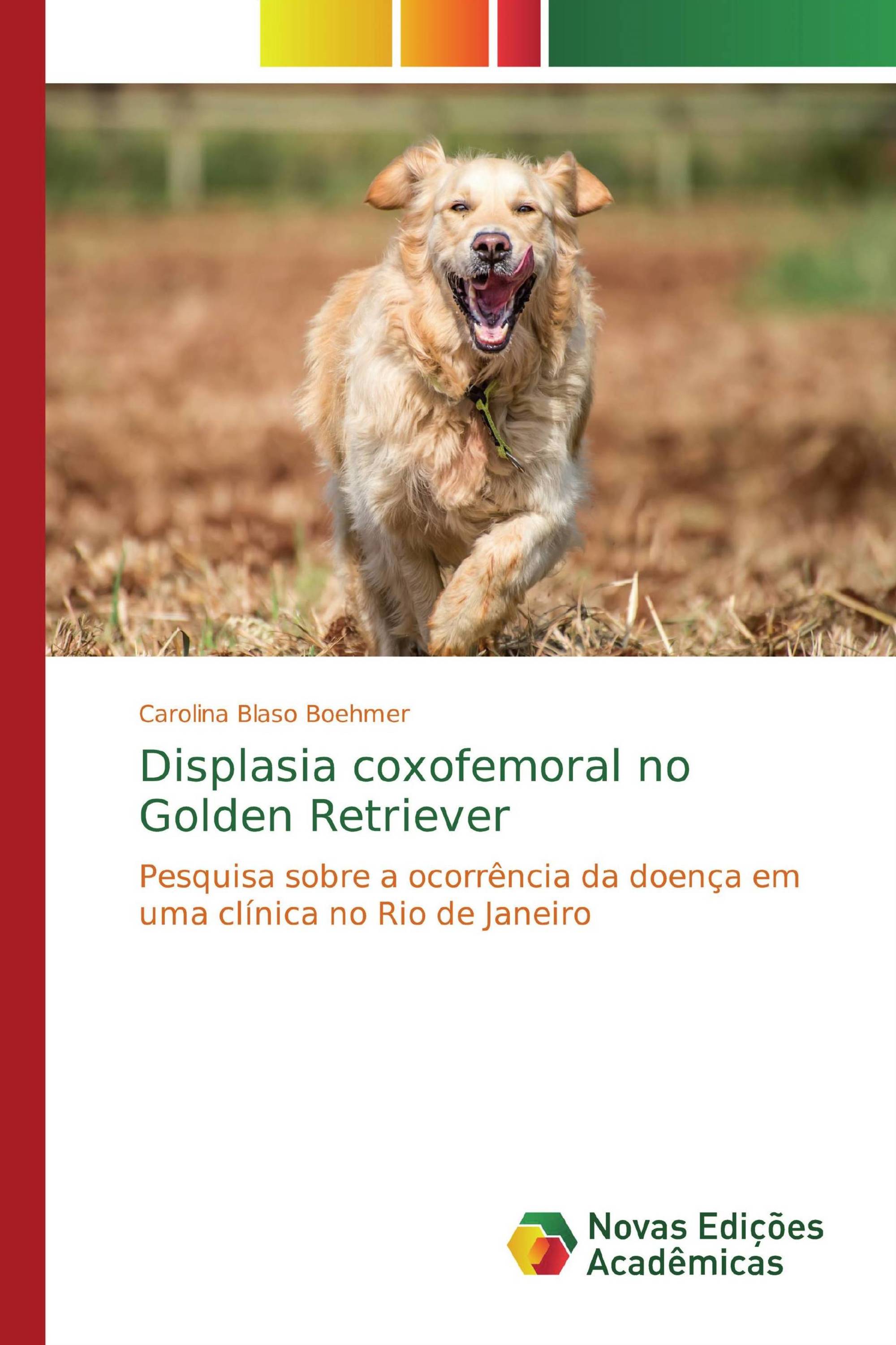 Displasia coxofemoral no Golden Retriever