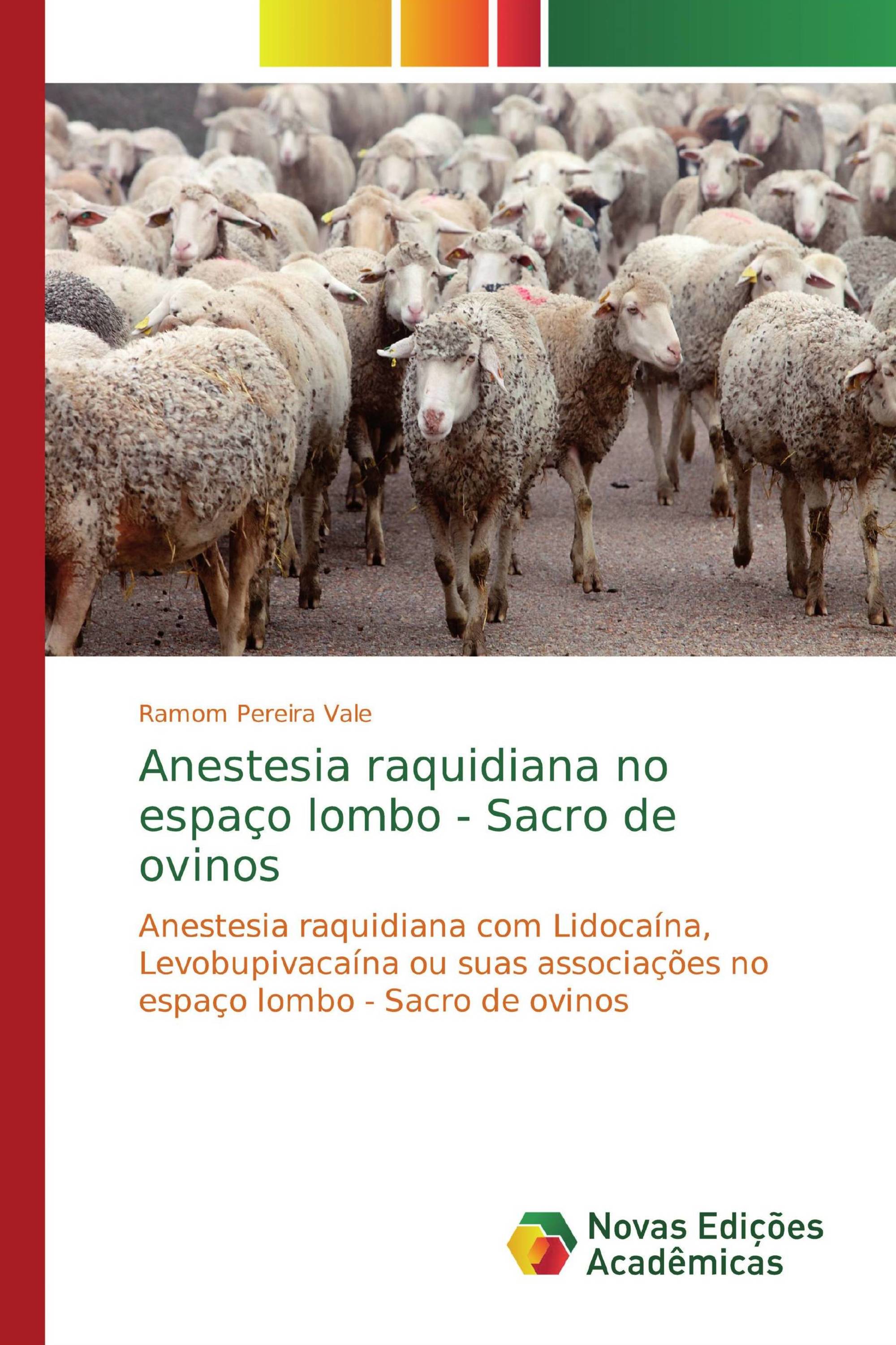 Anestesia raquidiana no espaço lombo - Sacro de ovinos