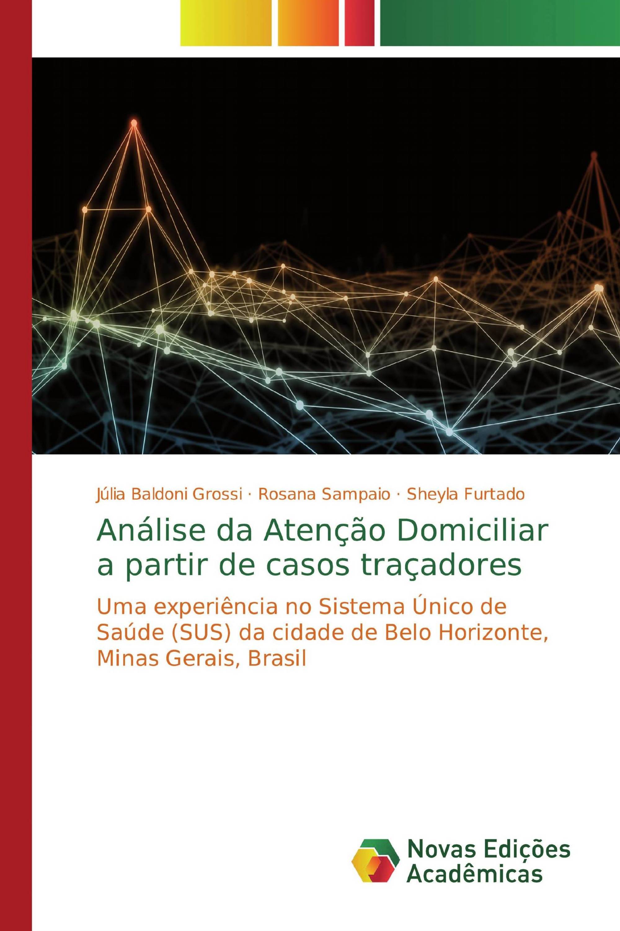 Análise da Atenção Domiciliar a partir de casos traçadores