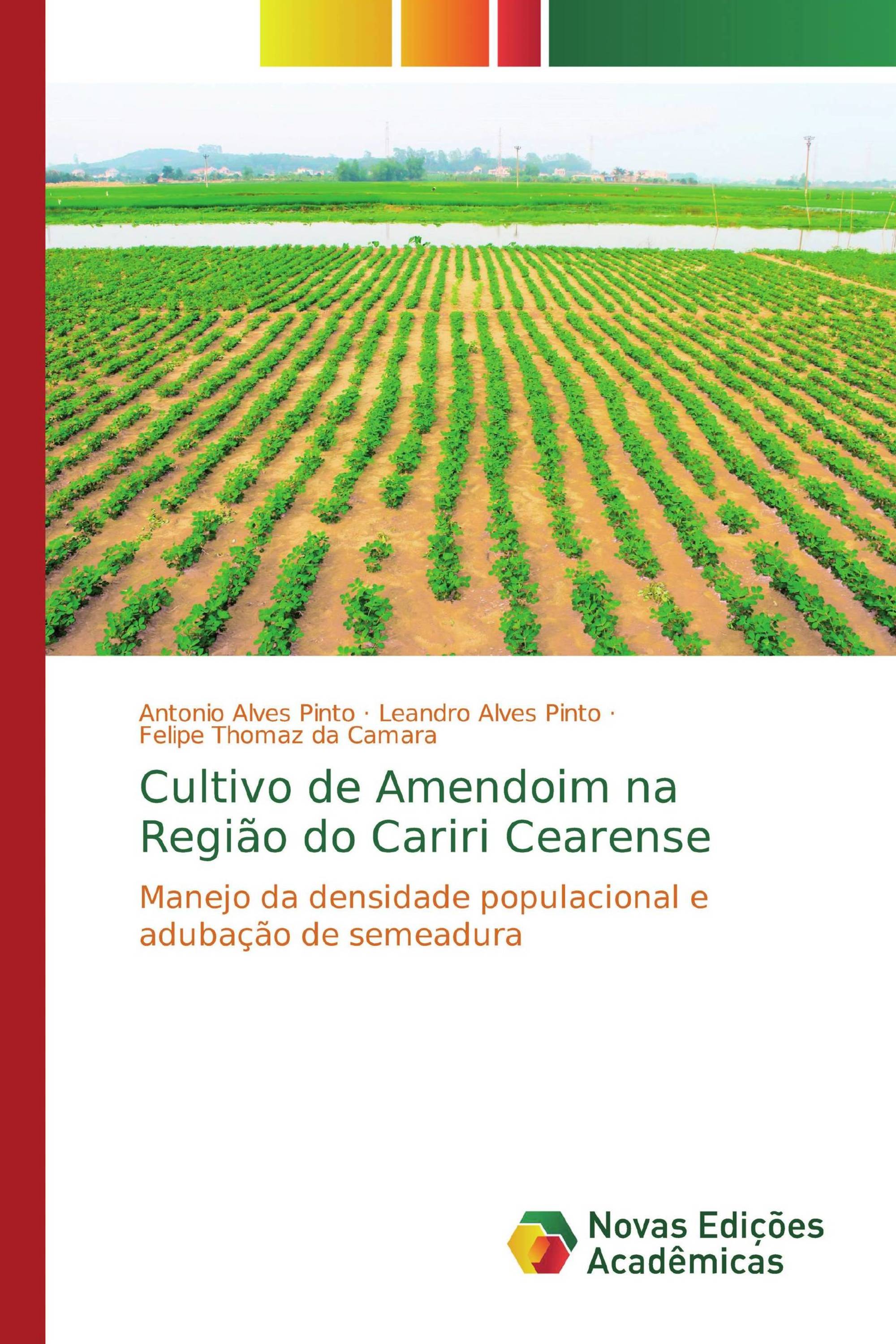 Cultivo de Amendoim na Região do Cariri Cearense