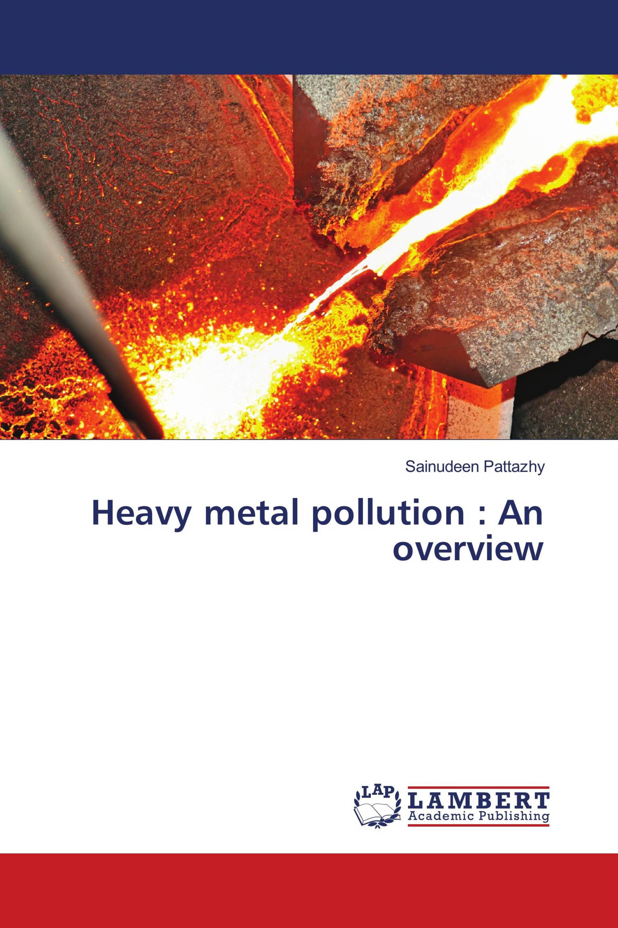 Heavy metal pollution : An overview