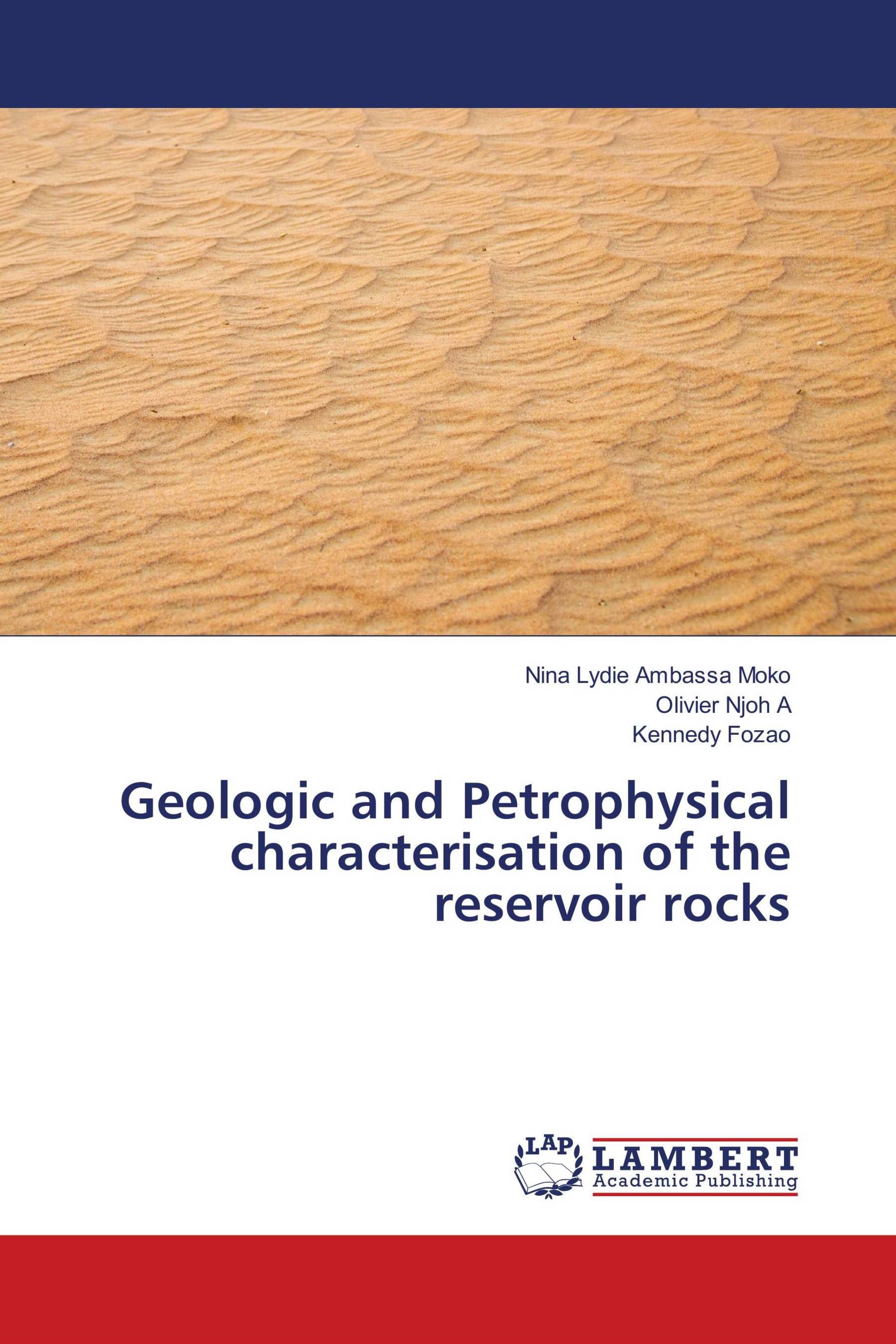 Geologic and Petrophysical characterisation of the reservoir rocks